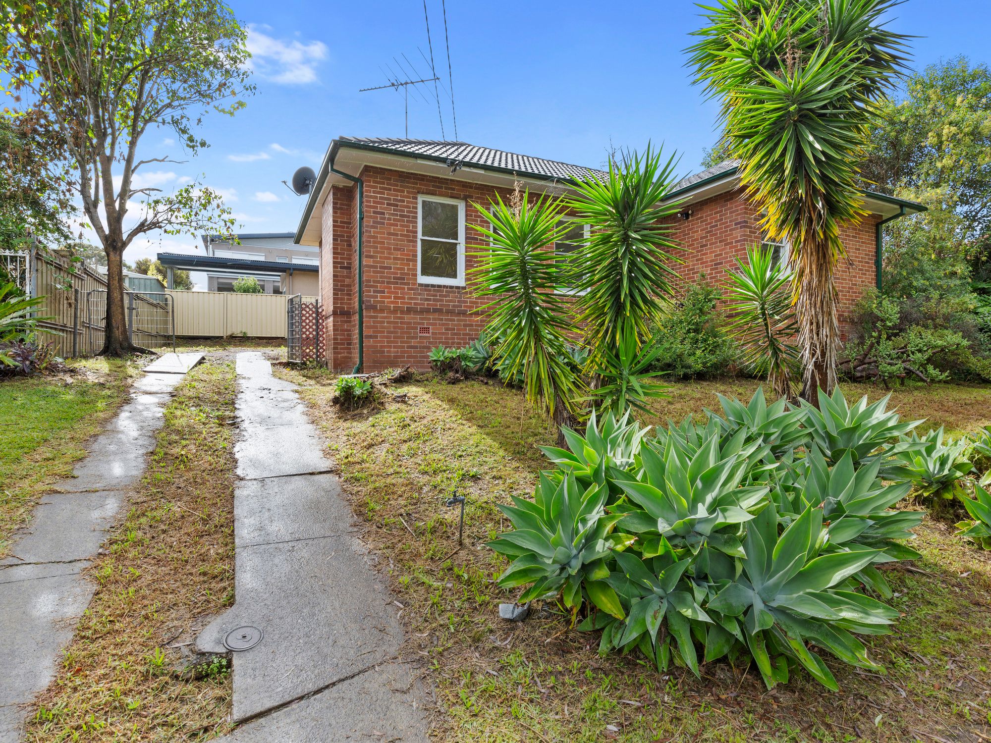 7 Docos Crescent, Bexley NSW 2207