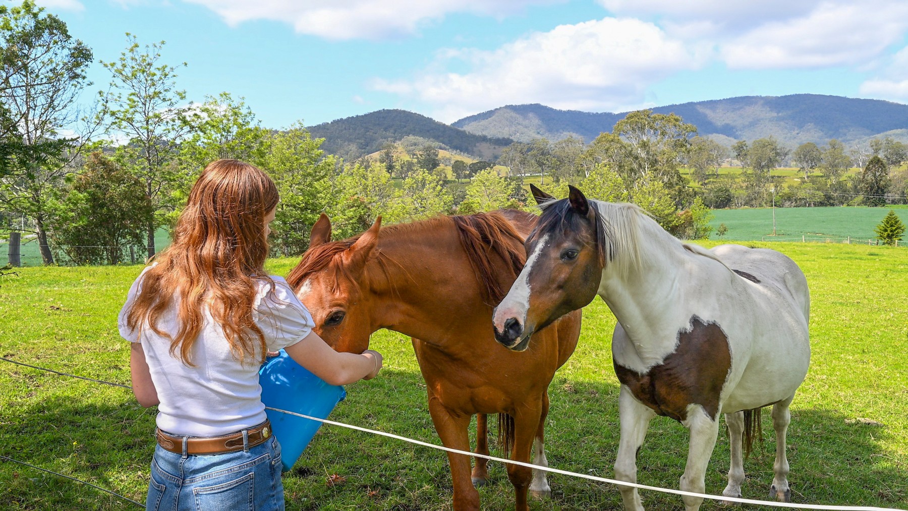 1152 Barrington West Road, Gloucester, NSW 2422