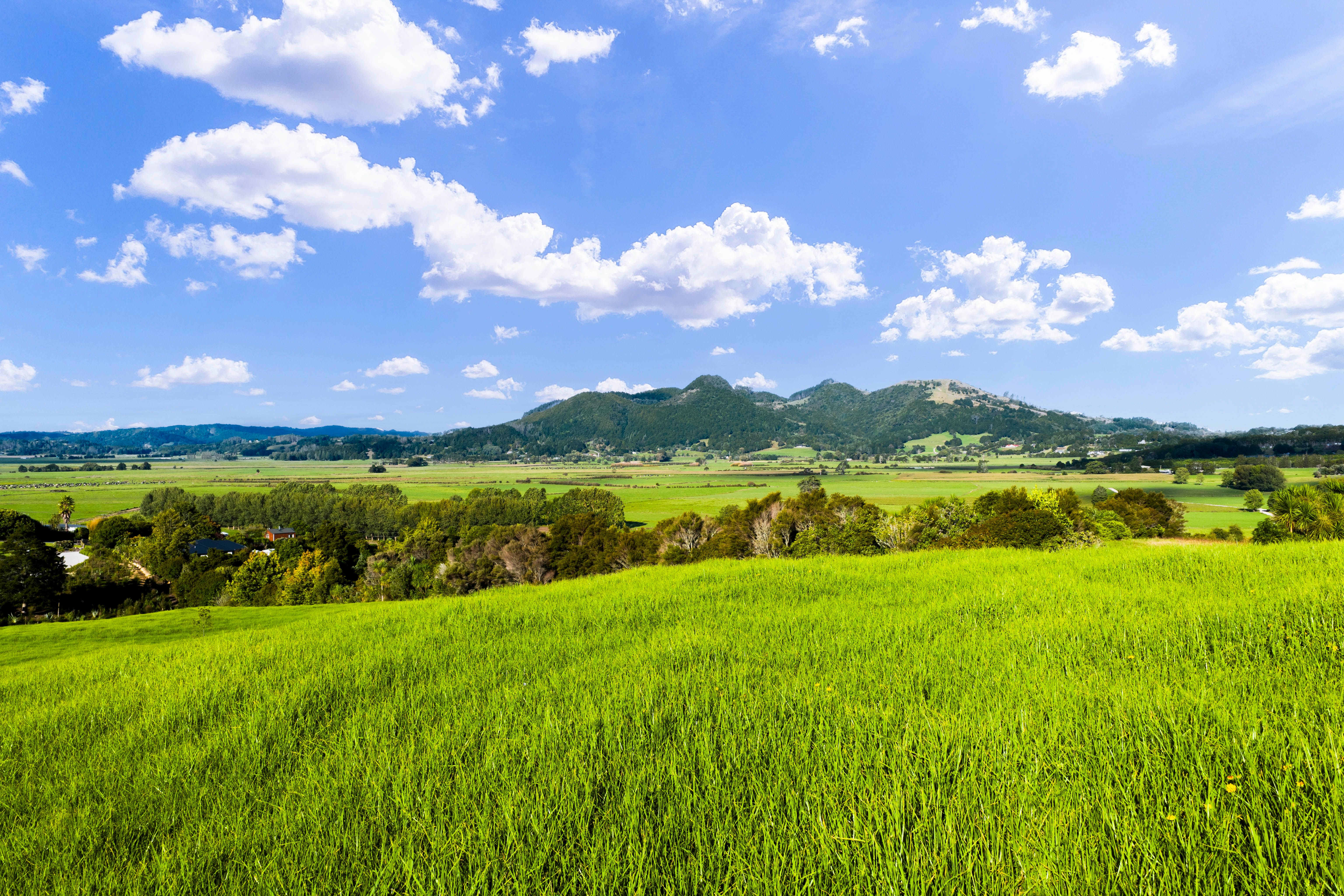 45C Finlayson Road, Matarau, Whangarei District