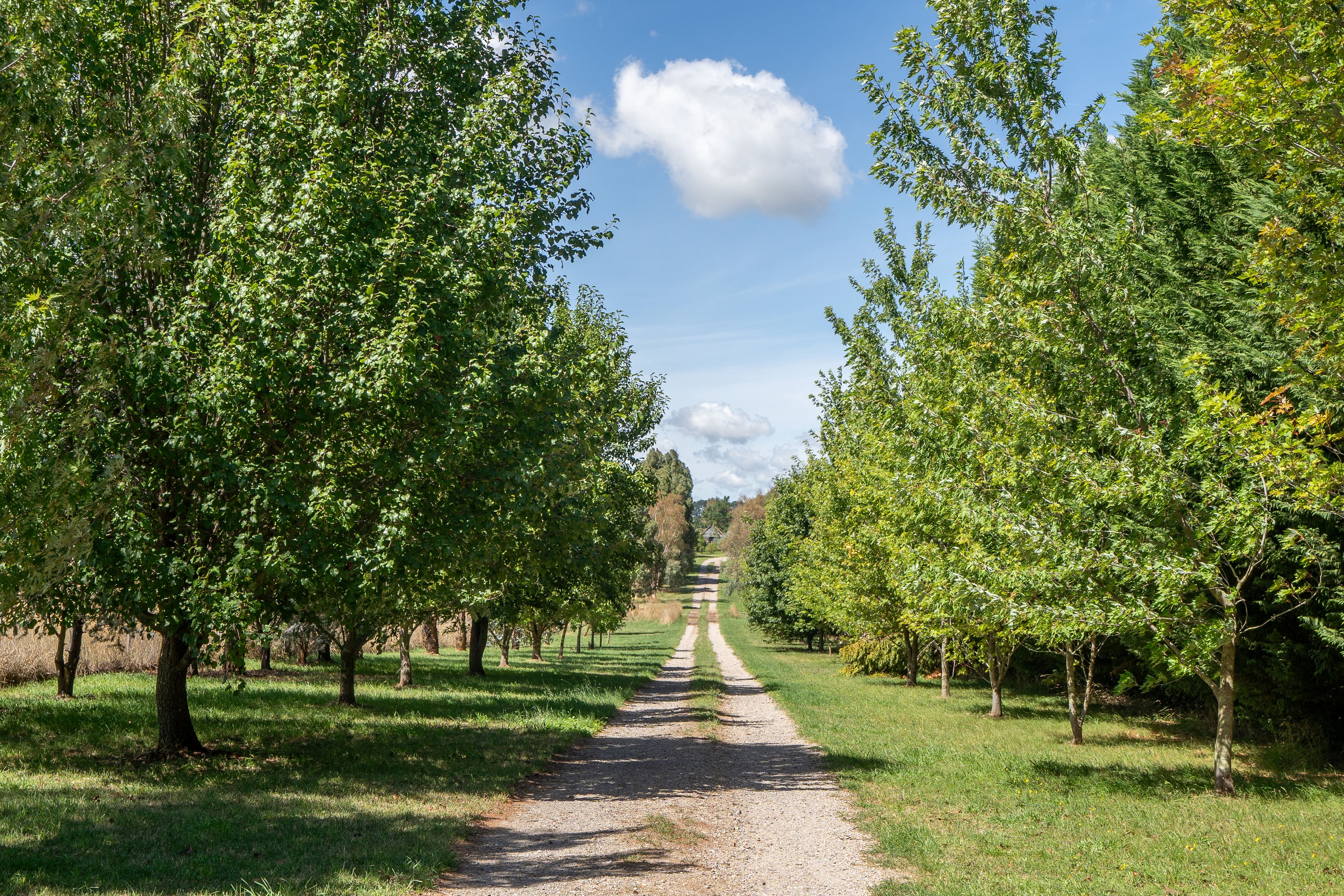 76 Blunt Road, Orange, NSW 2800