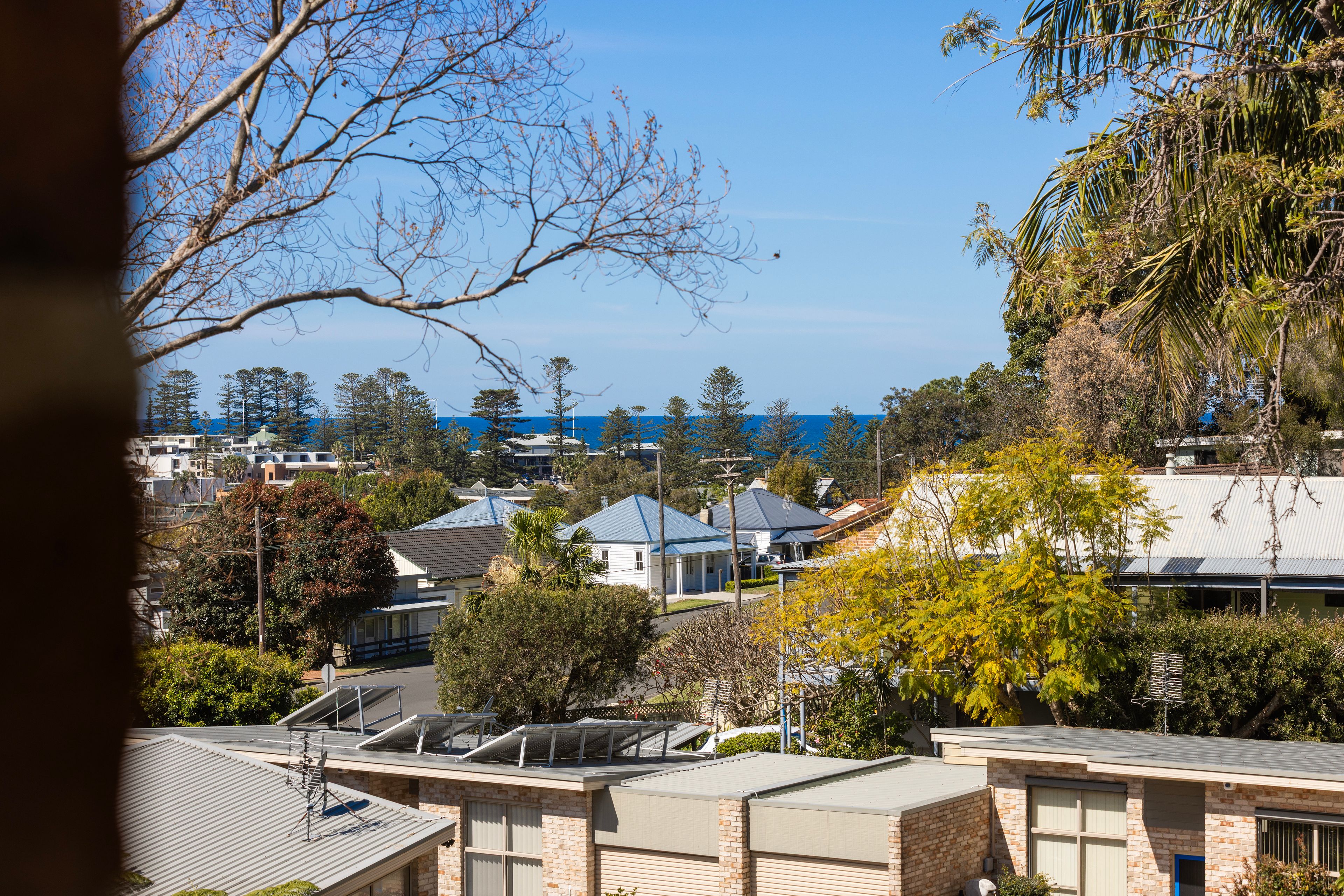 13 Belvedere Street — photo 8 of 13