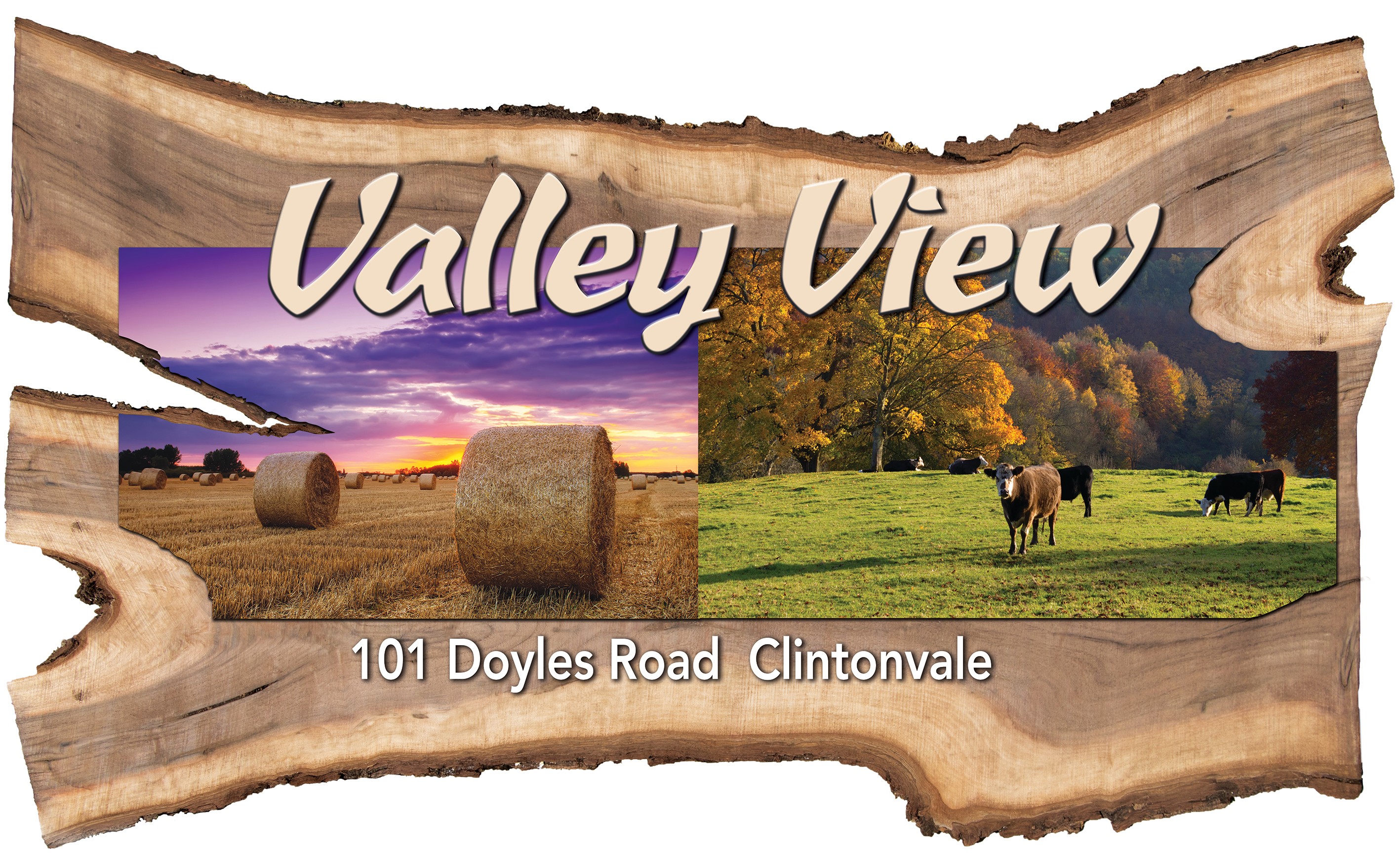 Lot 26 Doyles Road, Clintonvale, QLD 4370