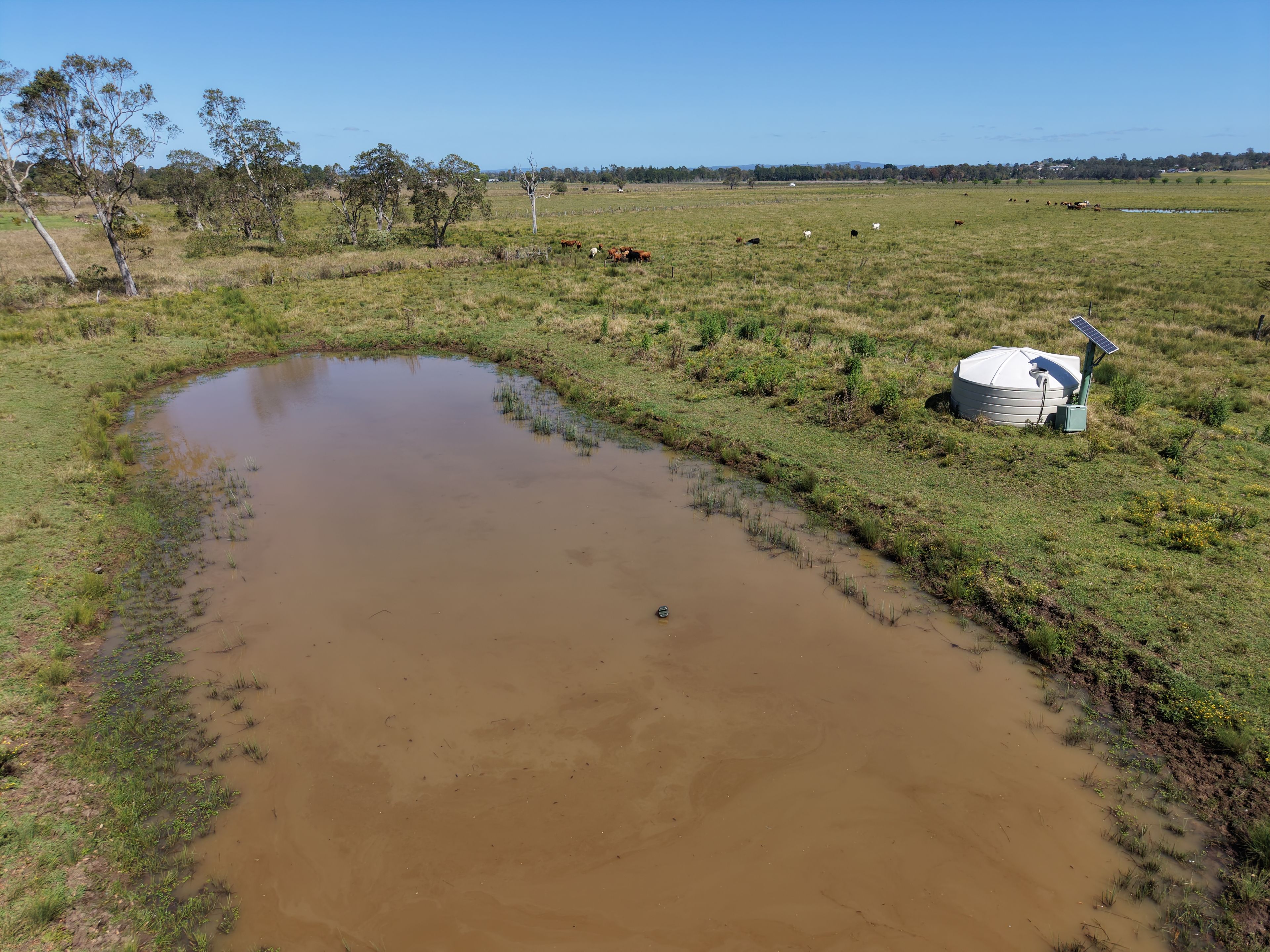 97 Naughtons Gap Road — photo 9 of 17