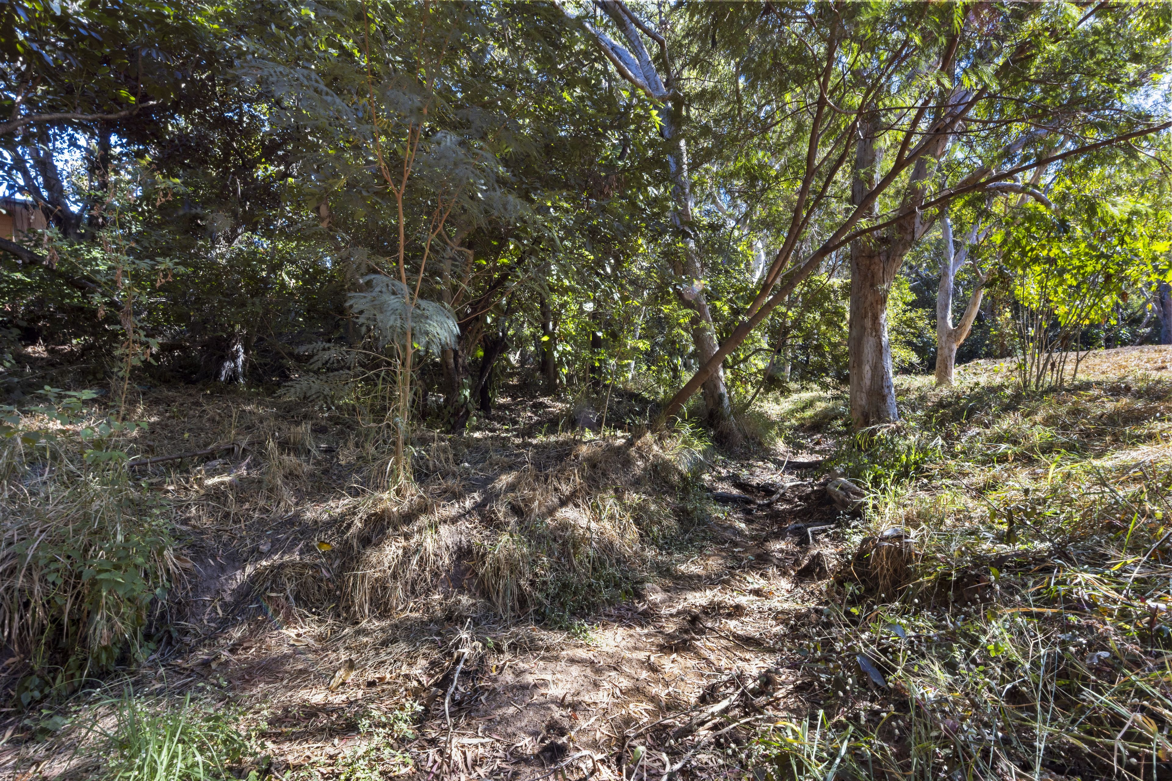 30-32 Birt Street — photo 5 of 12