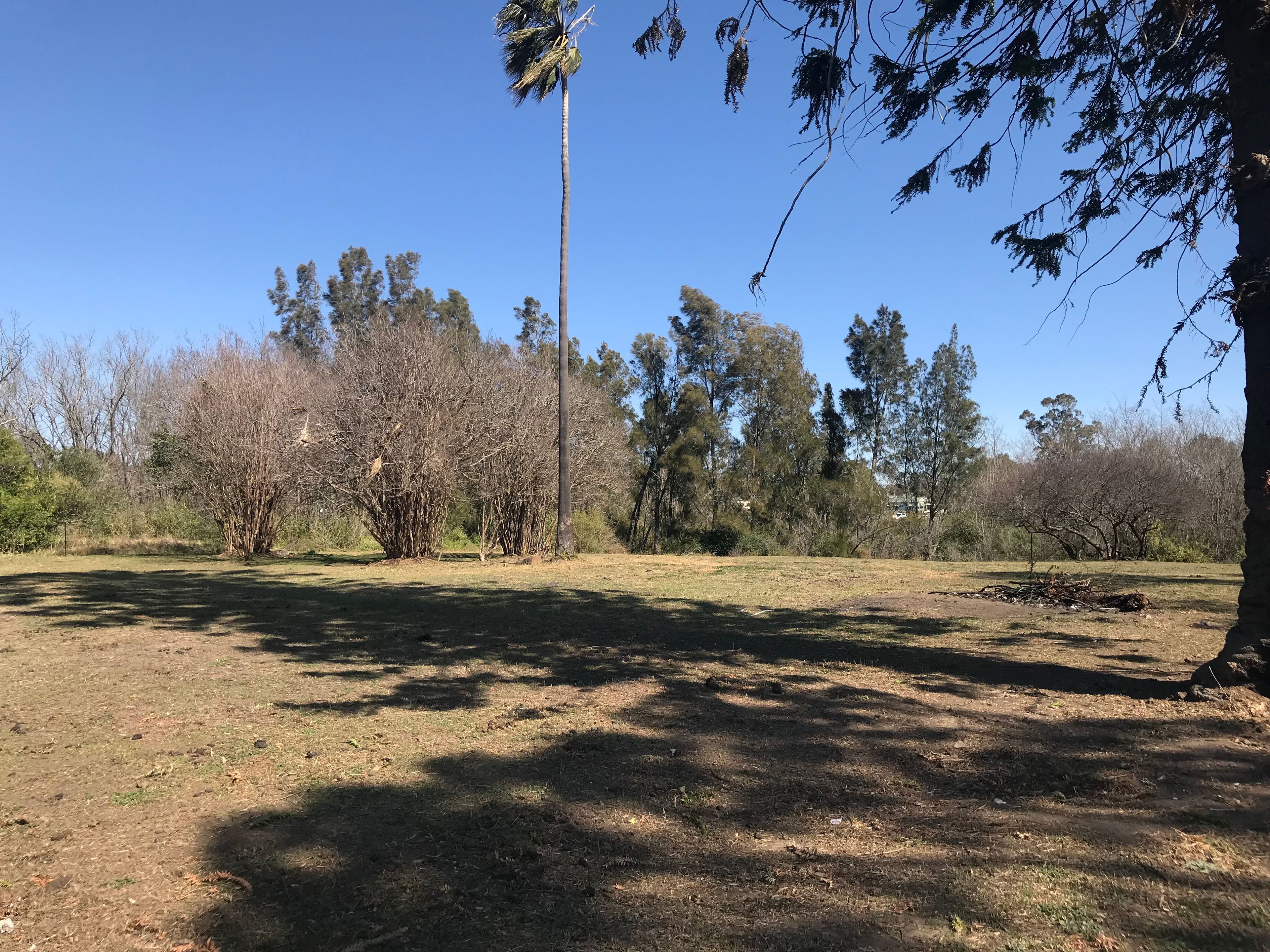 9 Elderslie Road, Branxton, NSW 2335