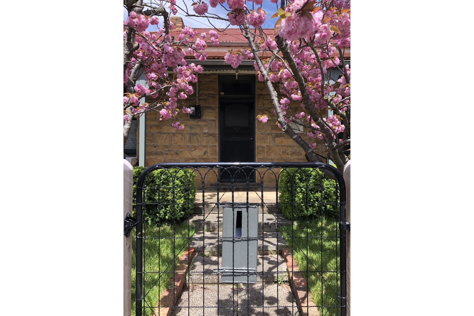34 Lauriston Street — photo 18 of 21