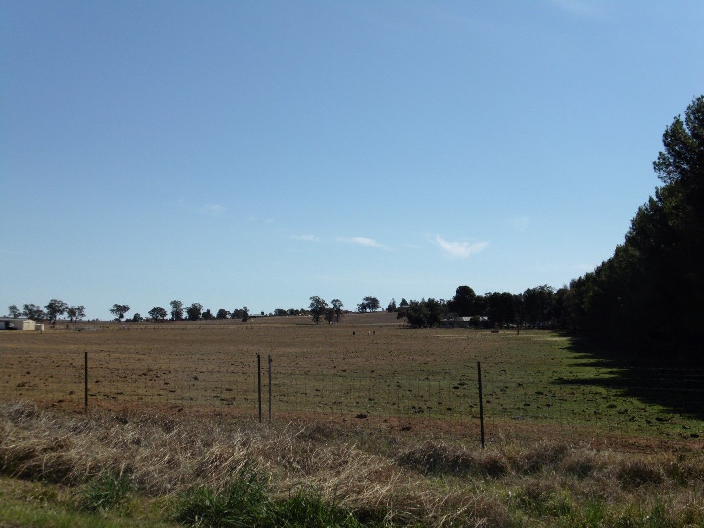 290 Back Yamma Road, Parkes, NSW 2870