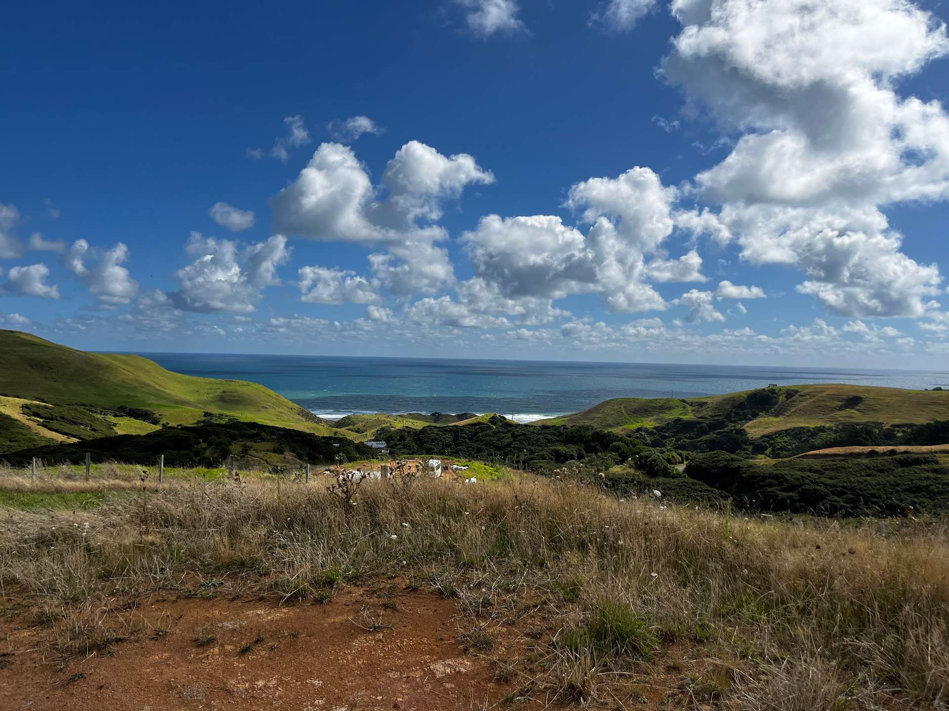 1597 Whaanga Road photo 4