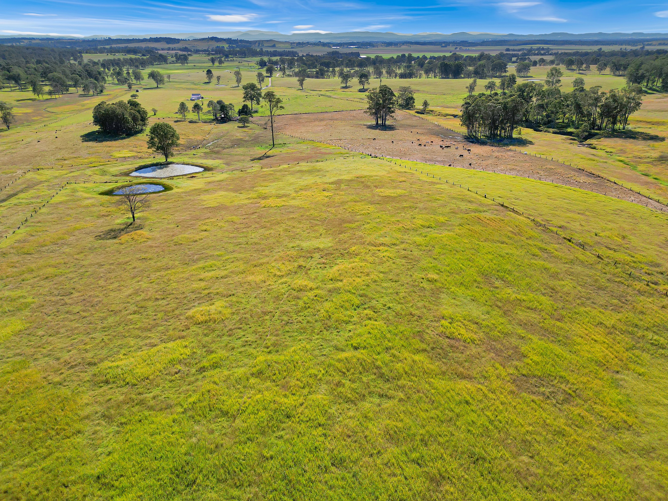 56 Ainsworth Road, Mongogarie, NSW 2470