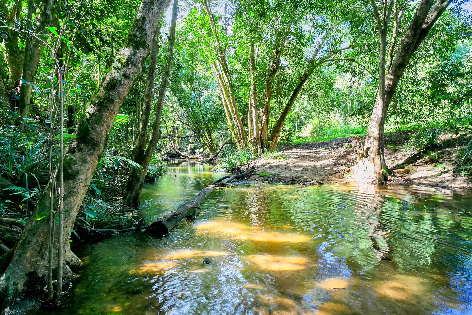 240 Jeffrey Road, Kuranda, QLD 4881
