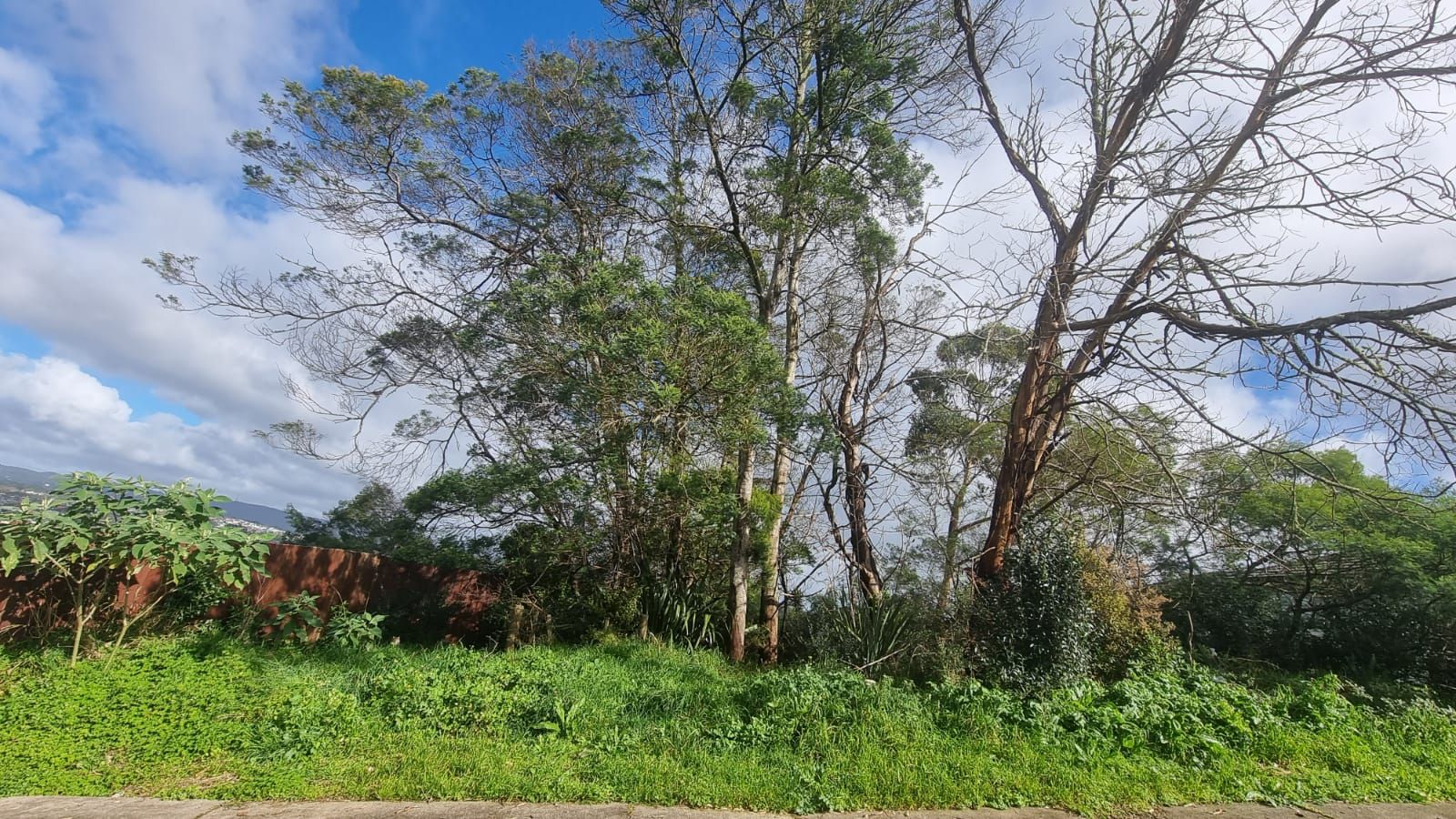 32 Tiriwa Drive, Massey, Waitakere City