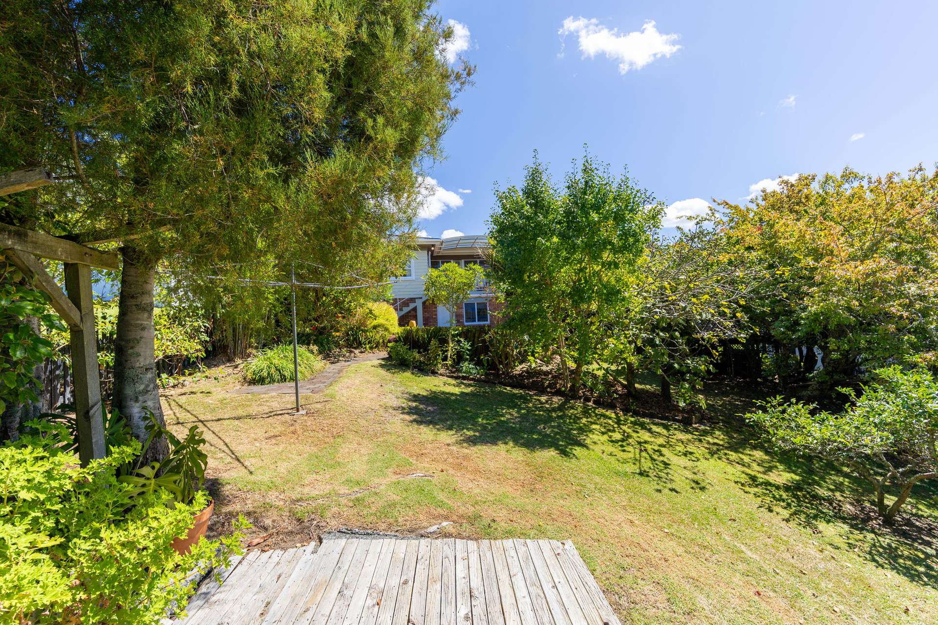 41 Lilburn Street photo 21