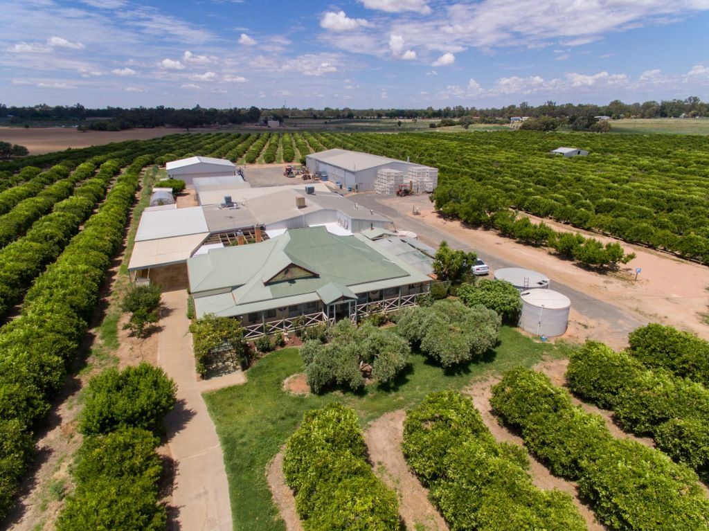 2265 Silver City Highway, Curlwaa, NSW 2648