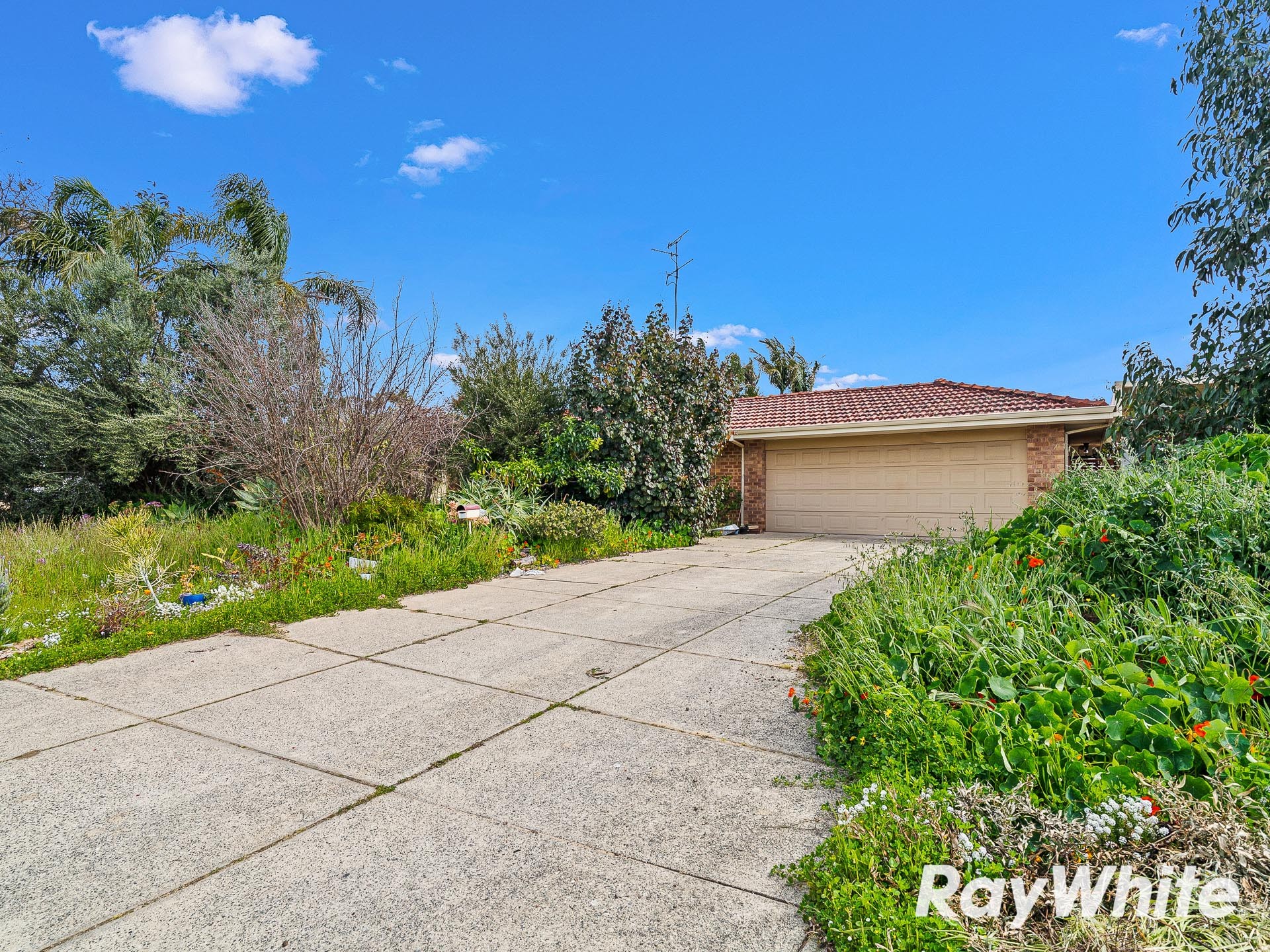 39 Honeysuckle Ramble, Halls Head, WA 6210