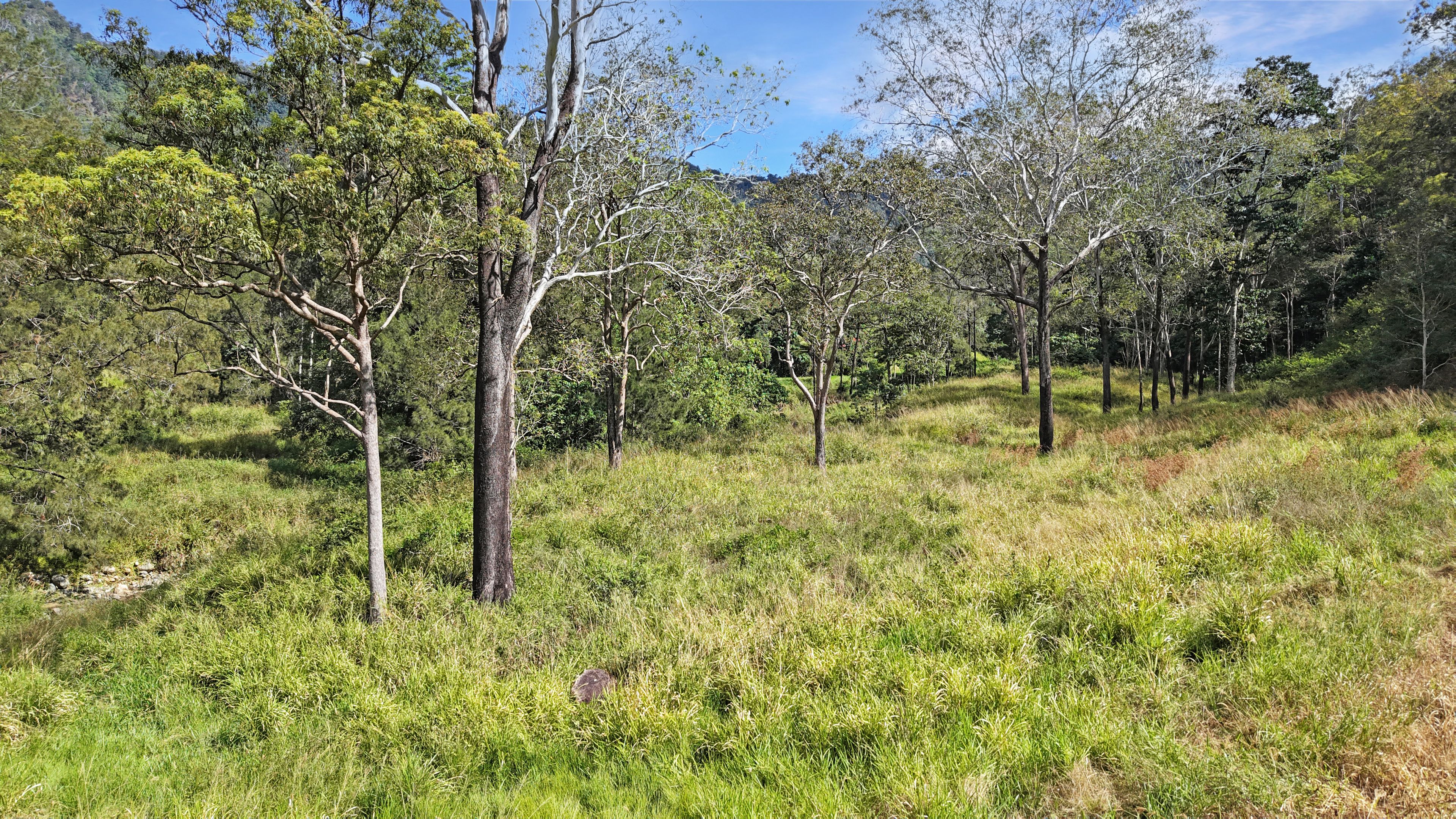 Lot 2 Mackay Eungella Road — photo 4 of 7