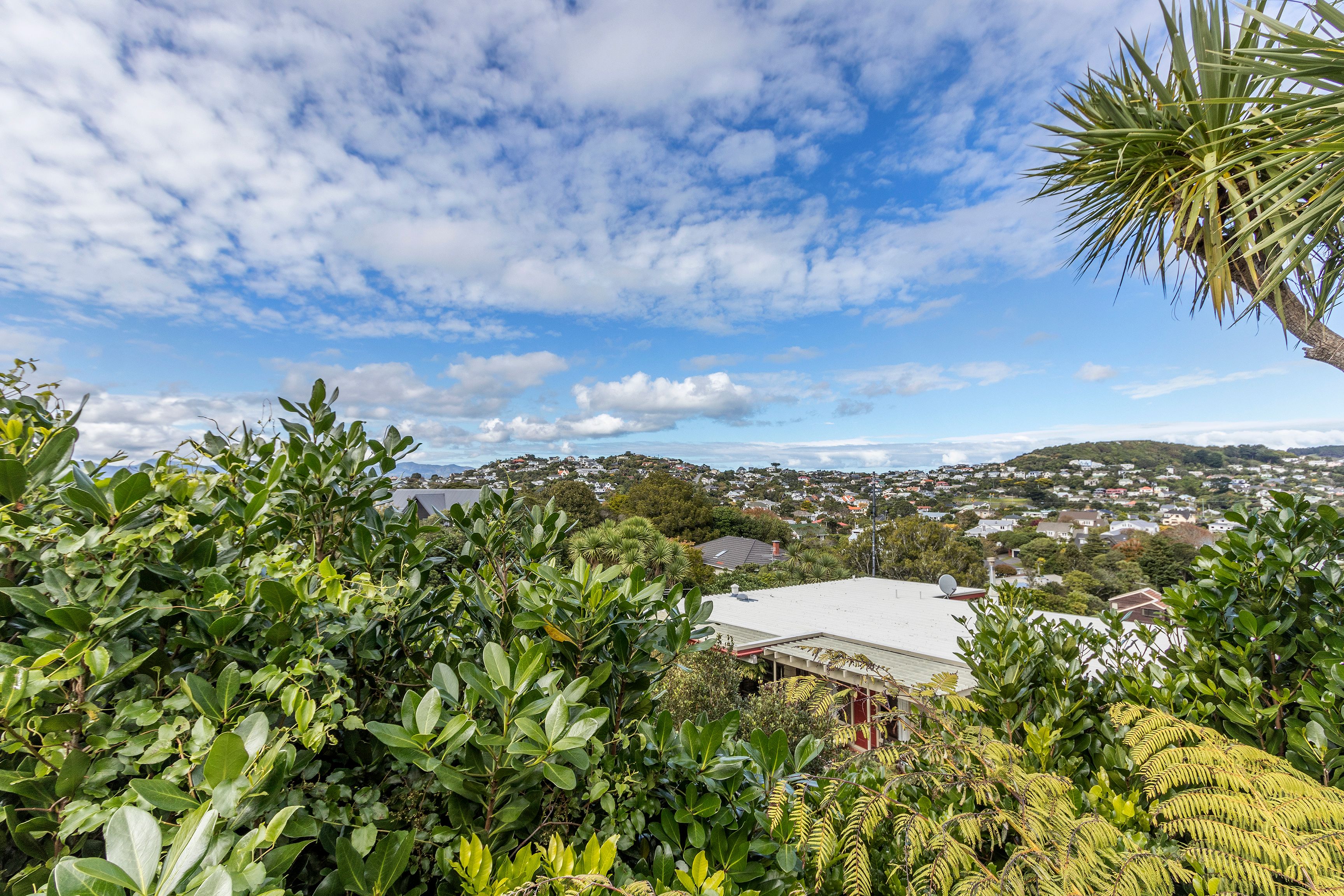 3 Mamaku Grove, Khandallah, Wellington City