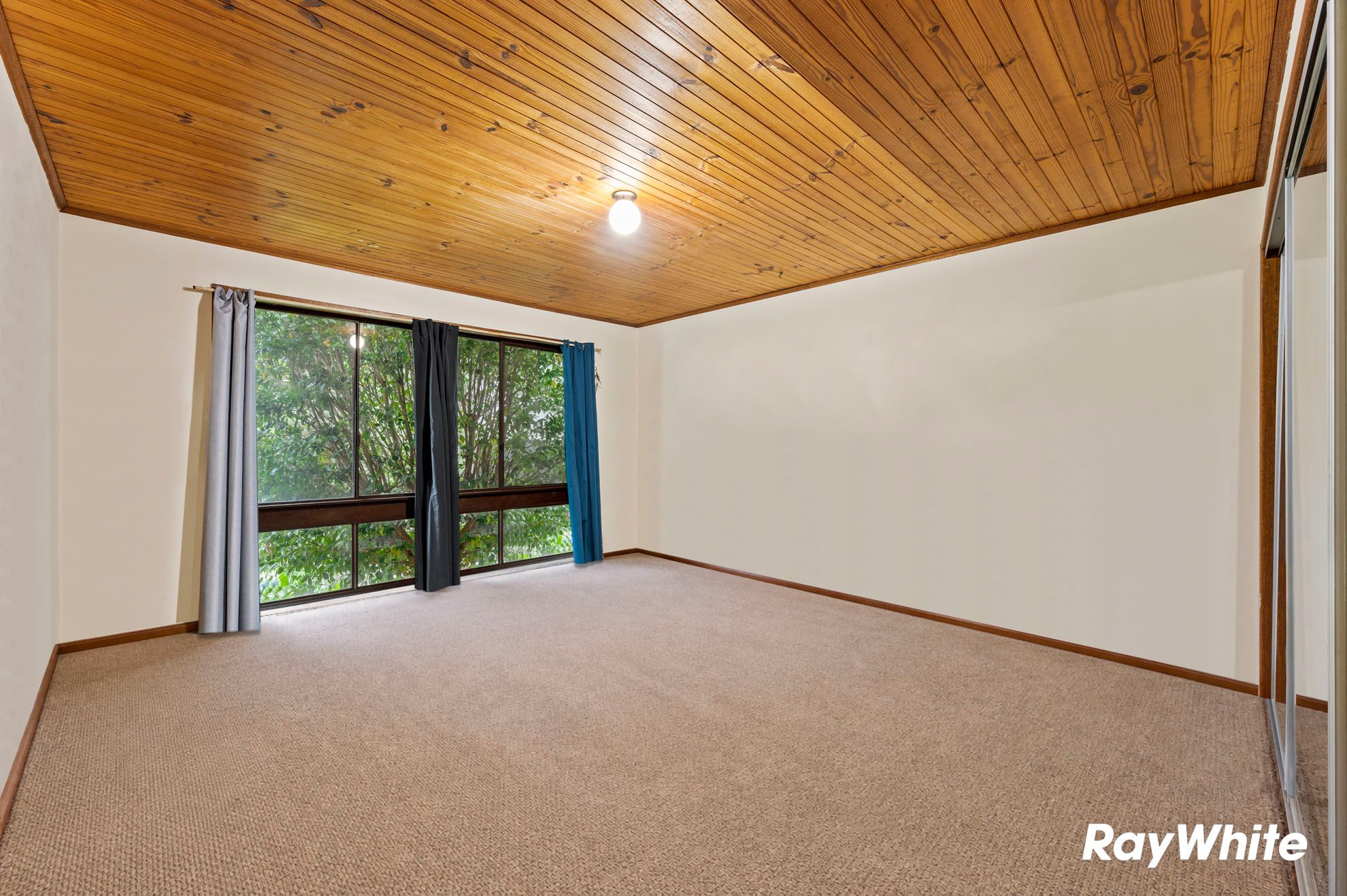 19 Berrima Street — photo 8 of 19