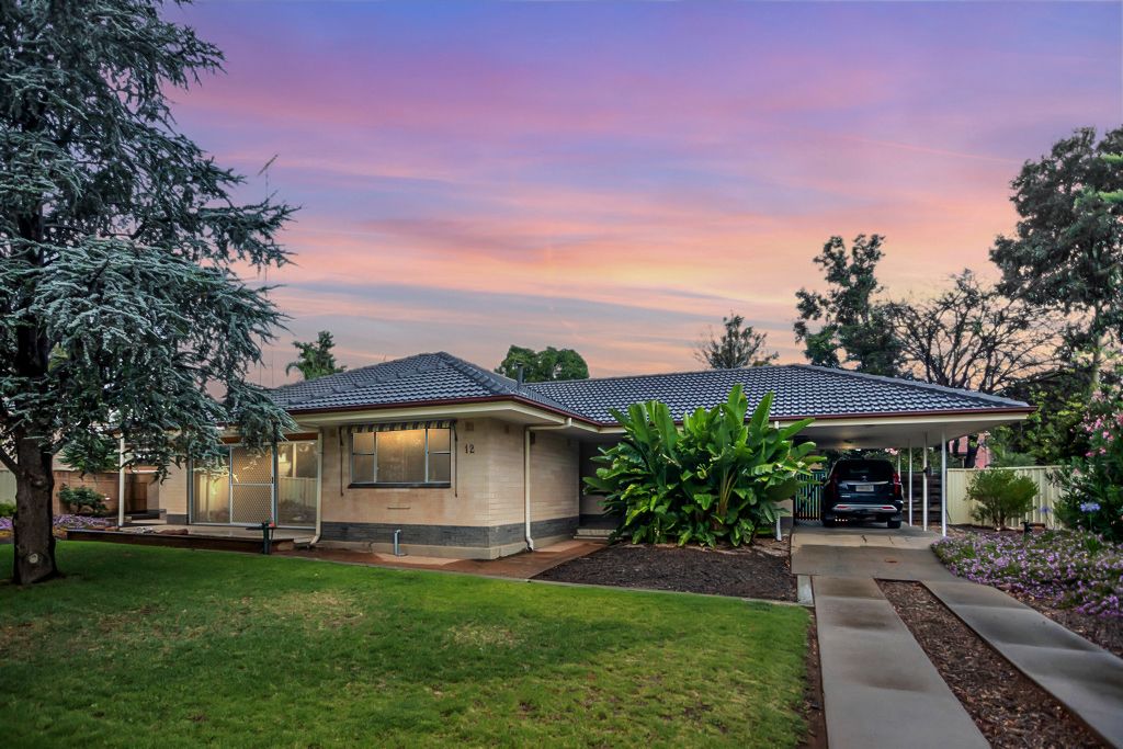12 Nookamka Terrace, Barmera SA 5345