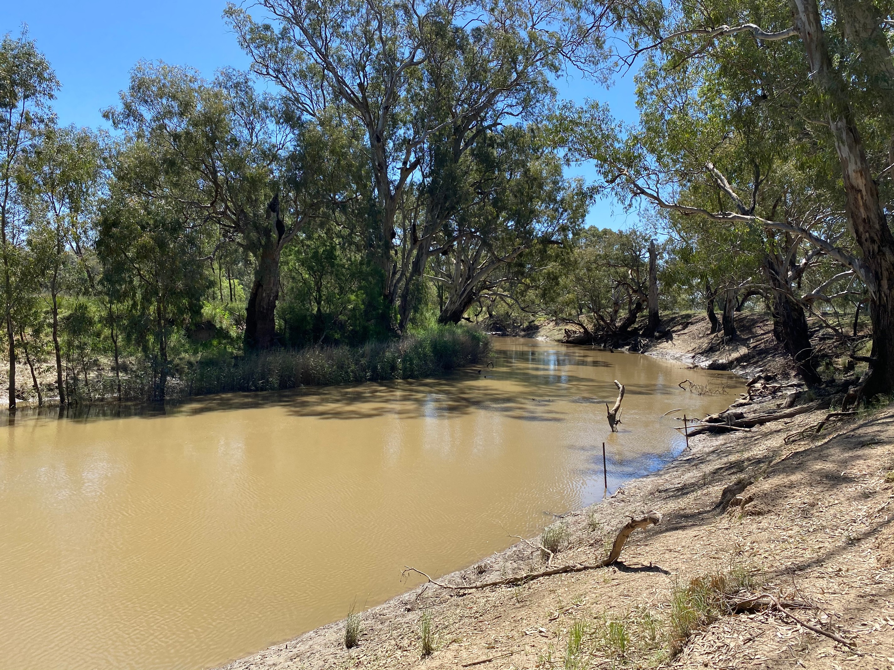 202 North Forbes Road, Condobolin, NSW 2877