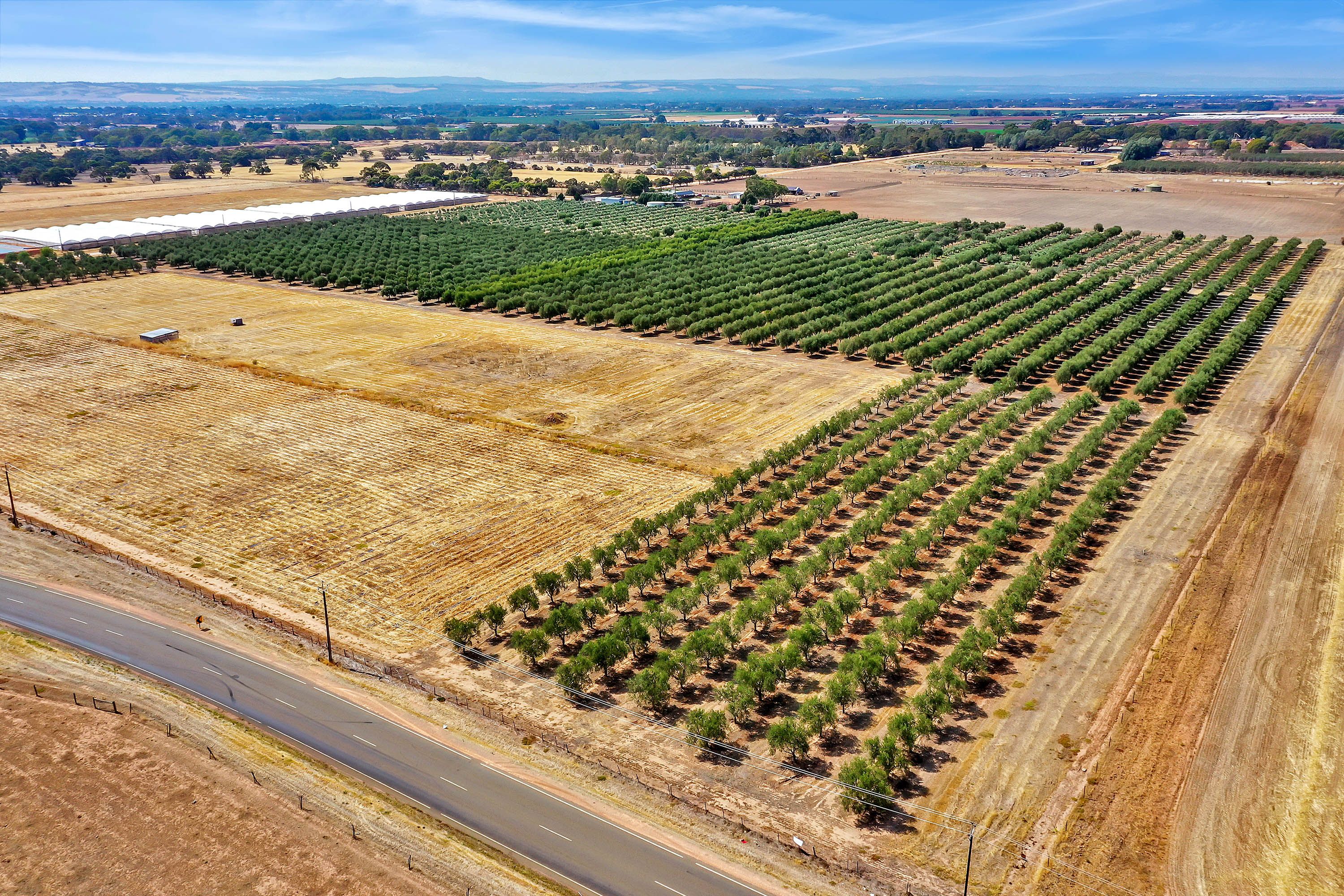 Lot 101 Gawler River Road, Lewiston, SA 5501