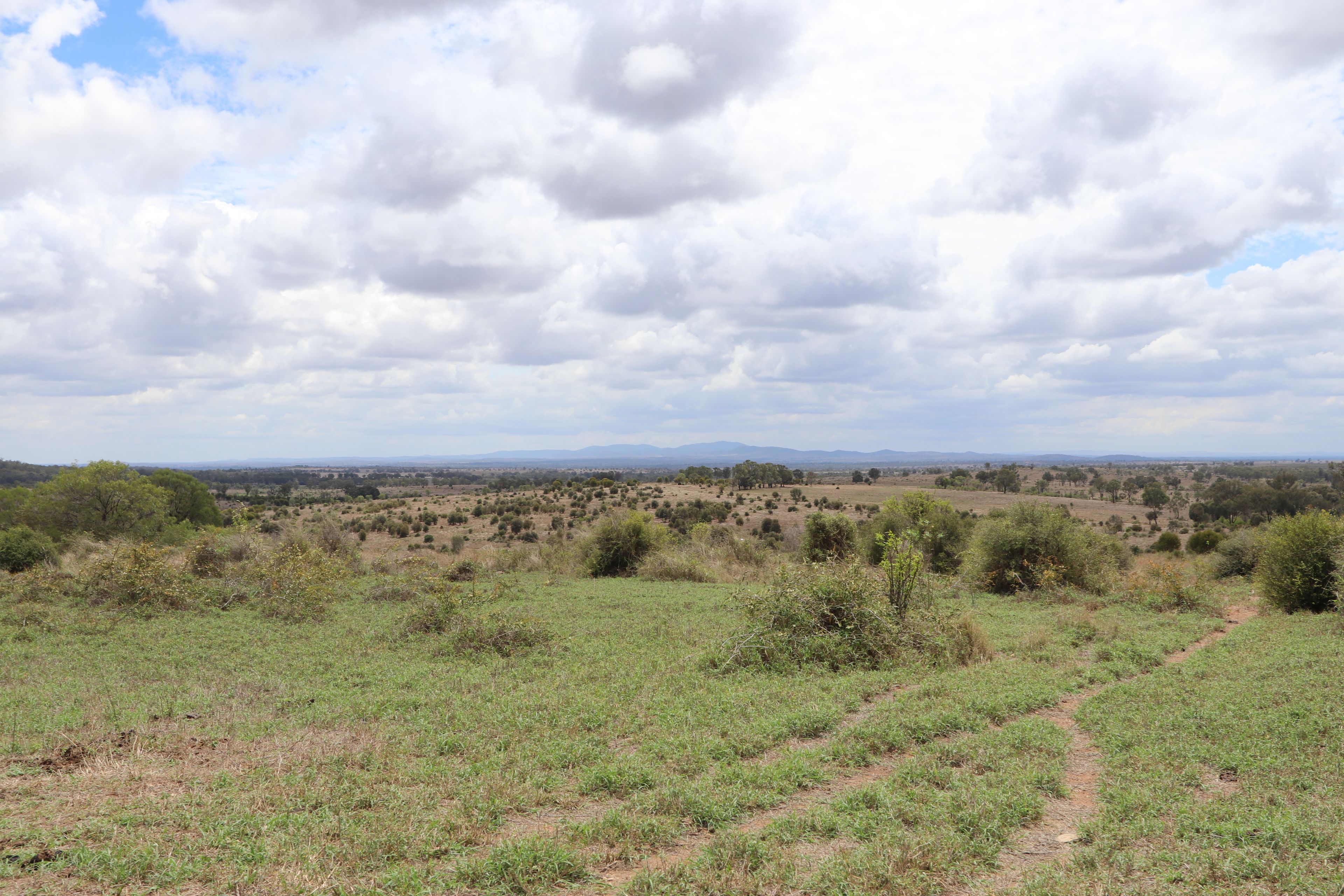 "Penlyn Hills" 811 Lowries Road — photo 15 of 18