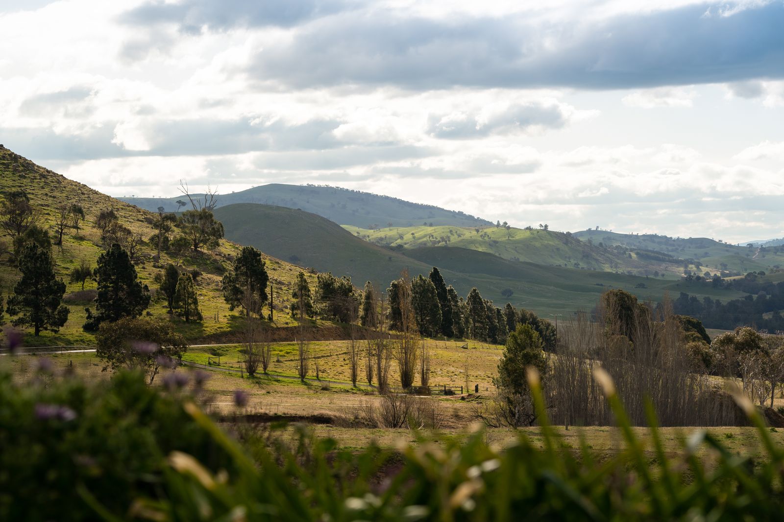 1100 Wallaroo Road, Wallaroo, NSW Home For Sale • Ray White