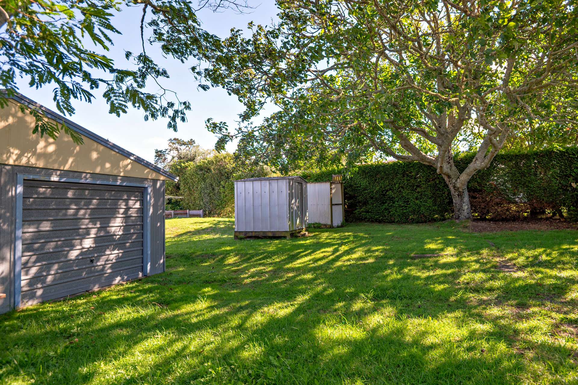 5 Sundell Place photo 20