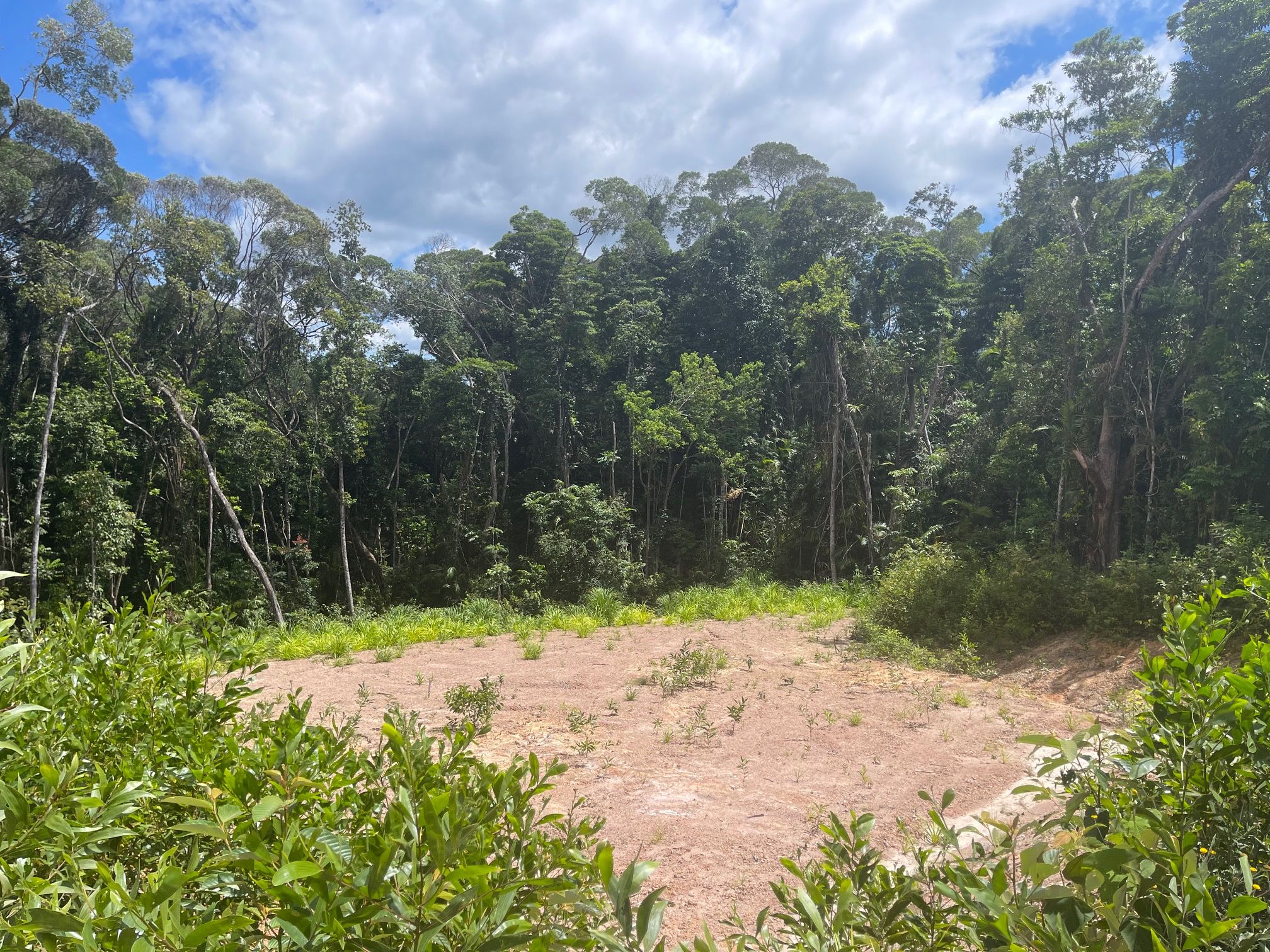13 Christensen Road, Kuranda, QLD 4881