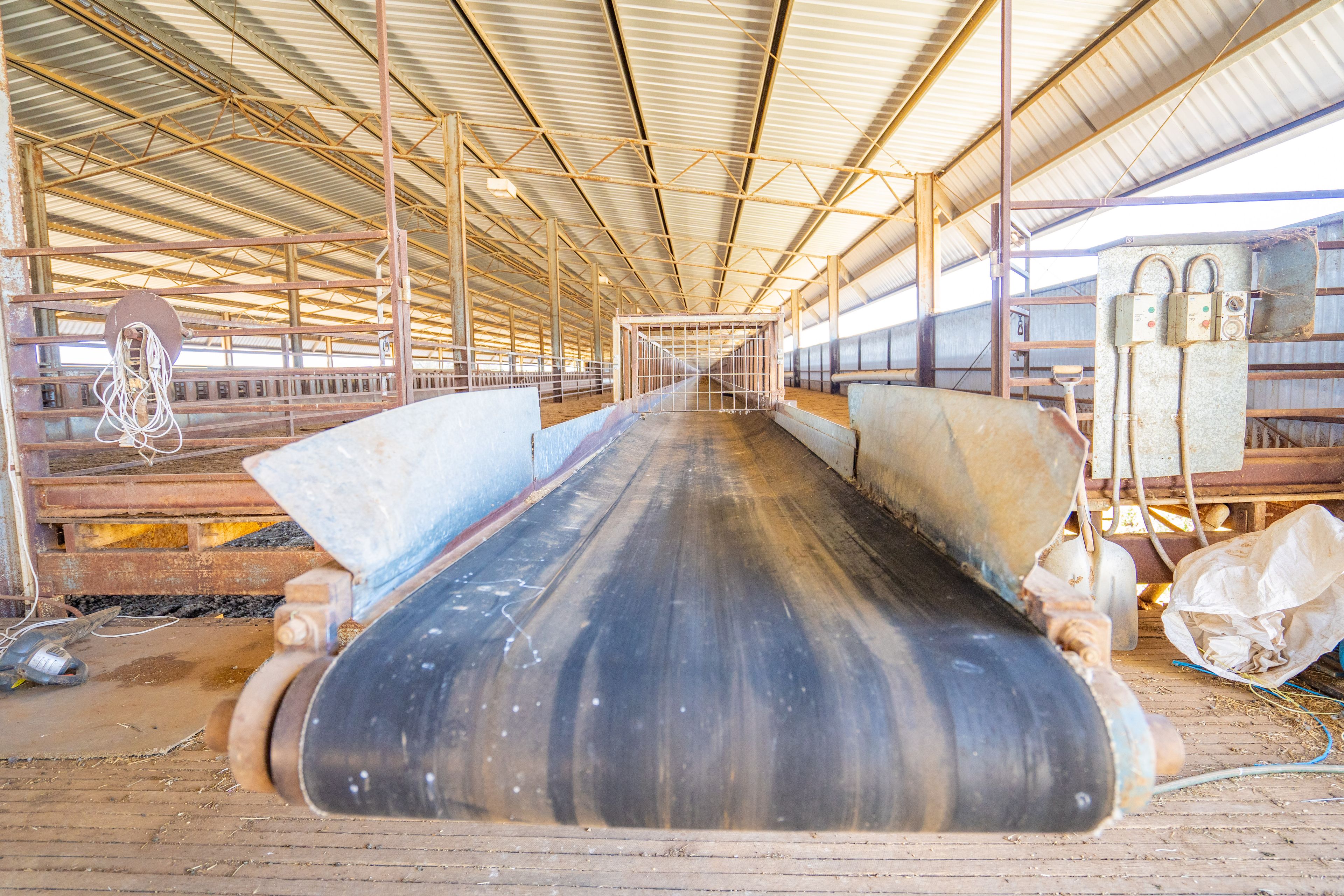 1078 Mid Western Highway, Cowra, NSW 2794 - Sold Rural 