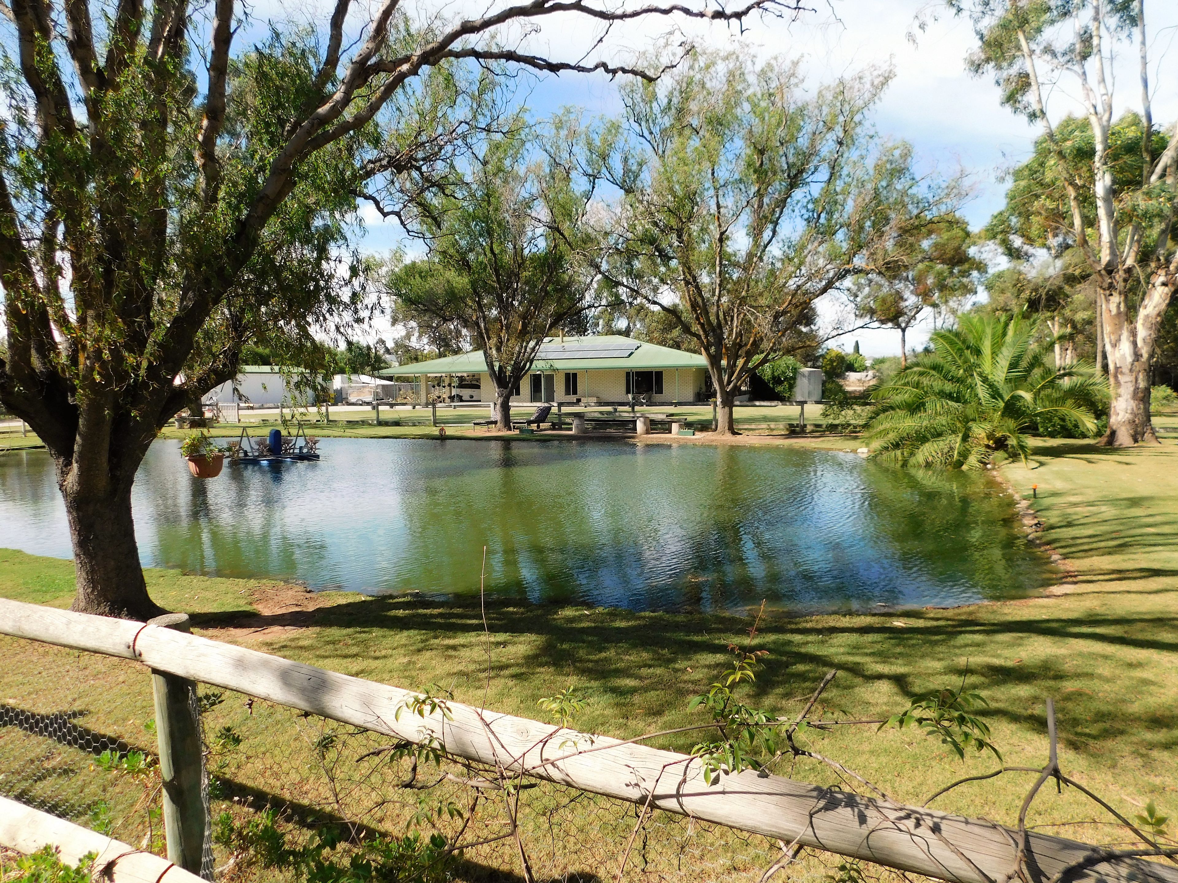 20 Green Street, Bordertown SA 5268
