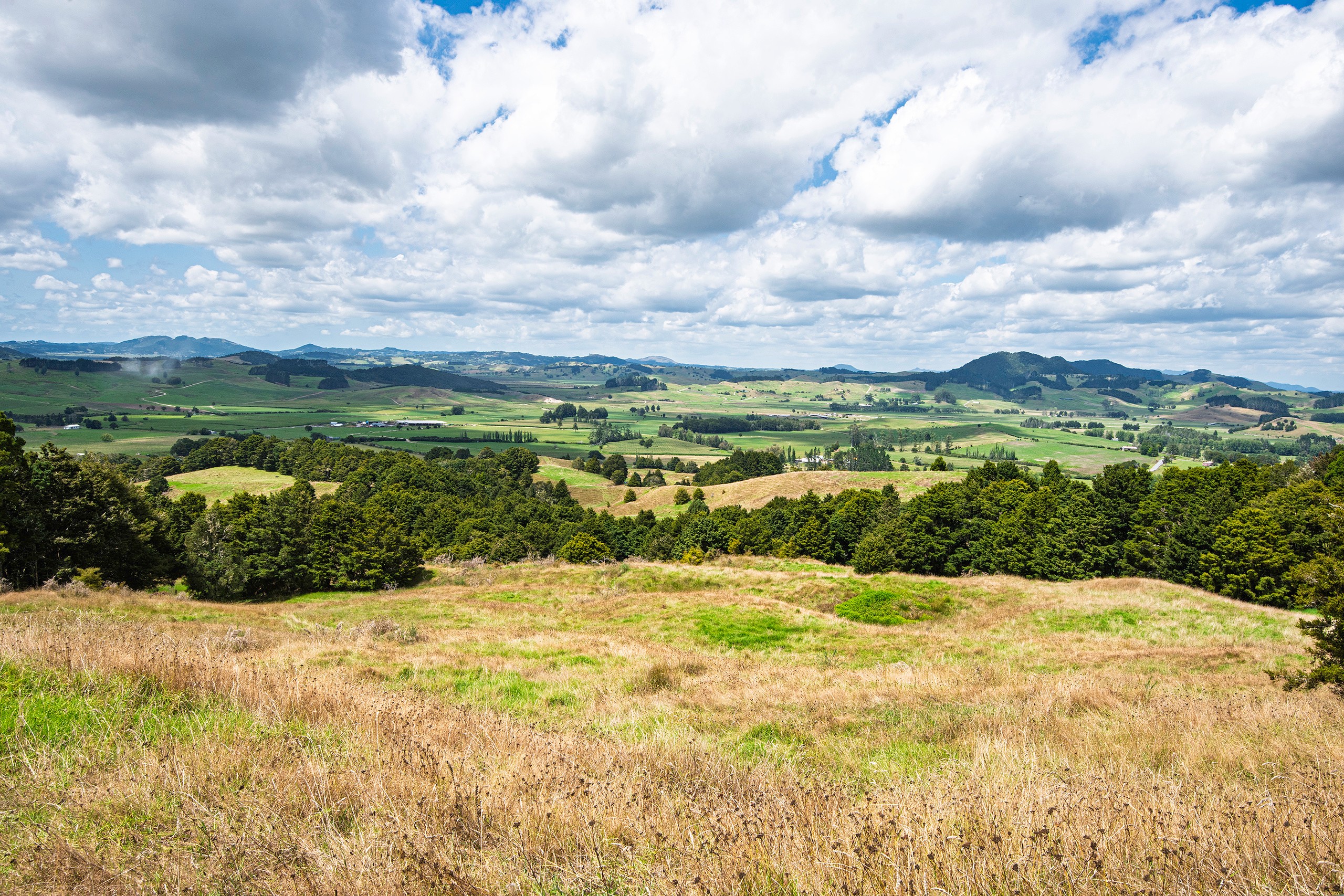 1085 Riponui Road, Riponui, Whangarei District