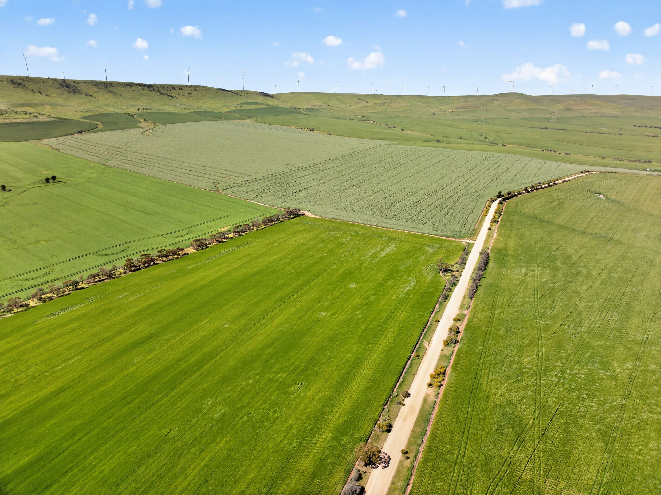 'Sharpes Well' Ireland Road — photo 10 of 28