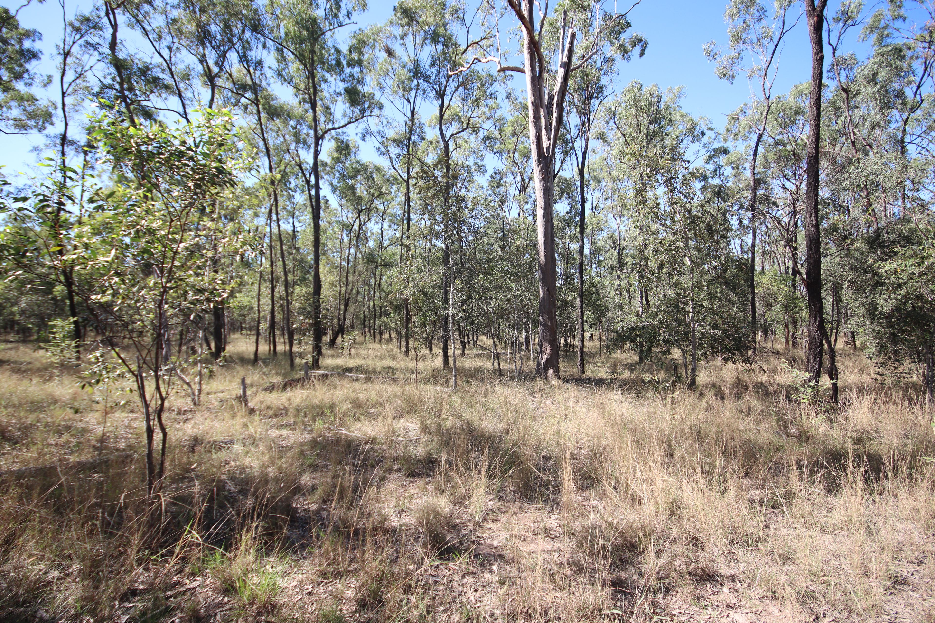 280 Stanmore Road, Coonambula, Mundubbera QLD 4626