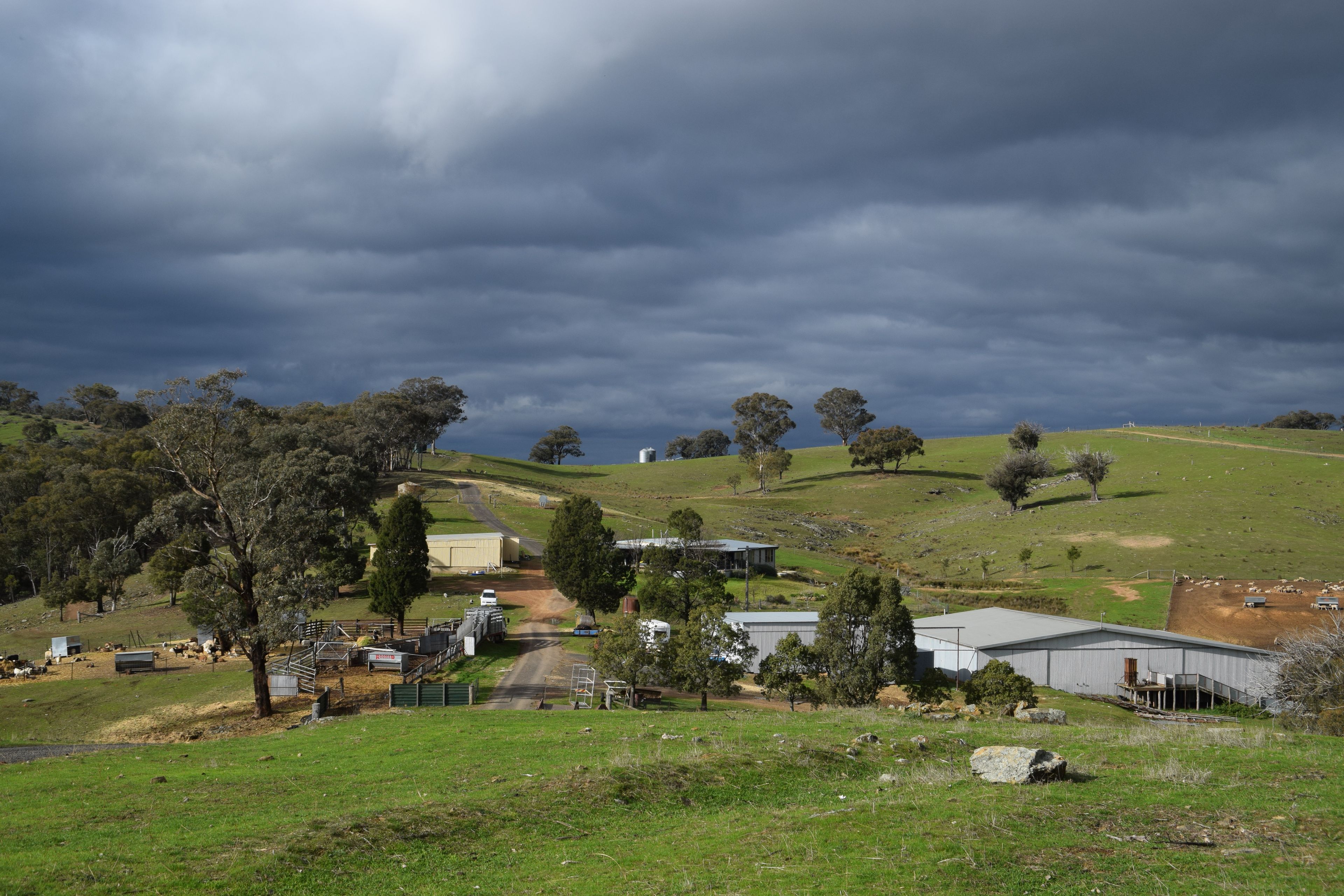 'Morella' 1257 Bundalah Road — photo 6 of 29