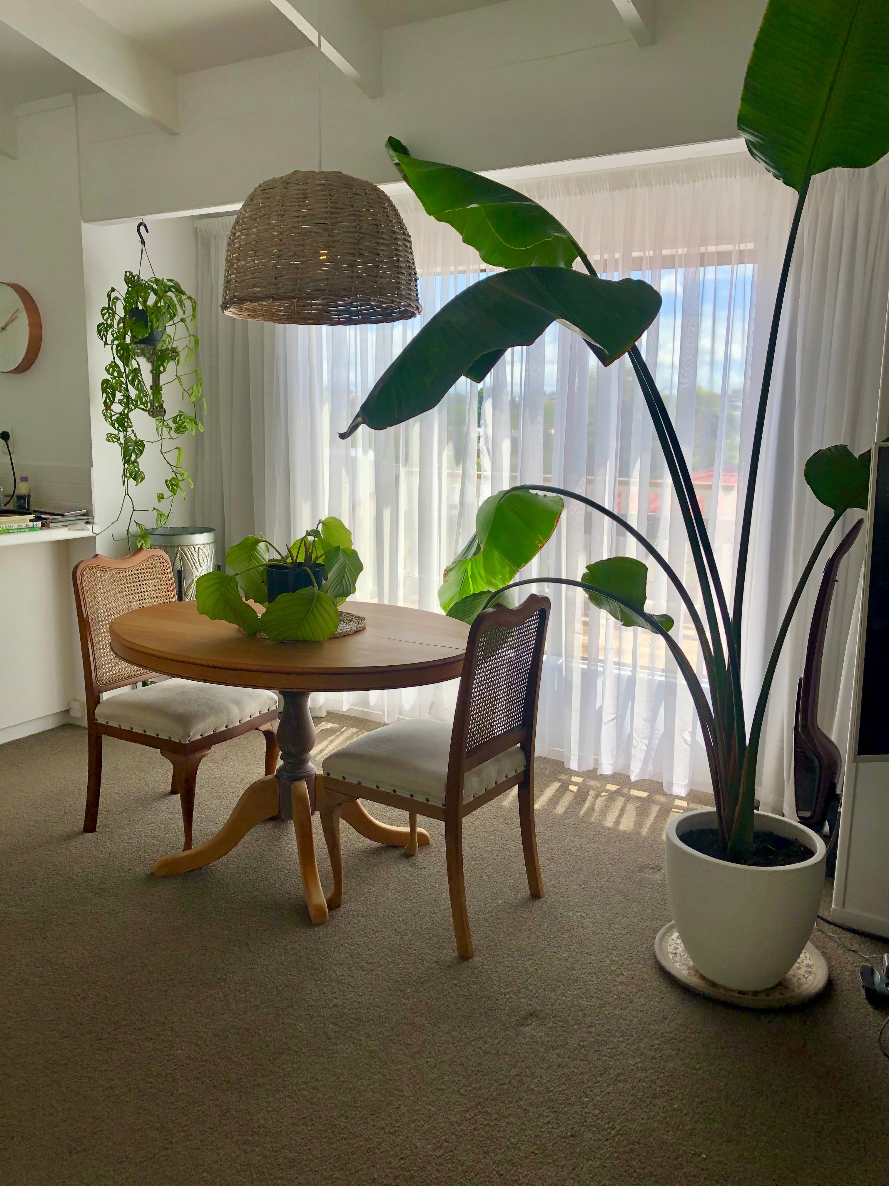 18A Bellevue Drive, Brookfield, Tauranga City