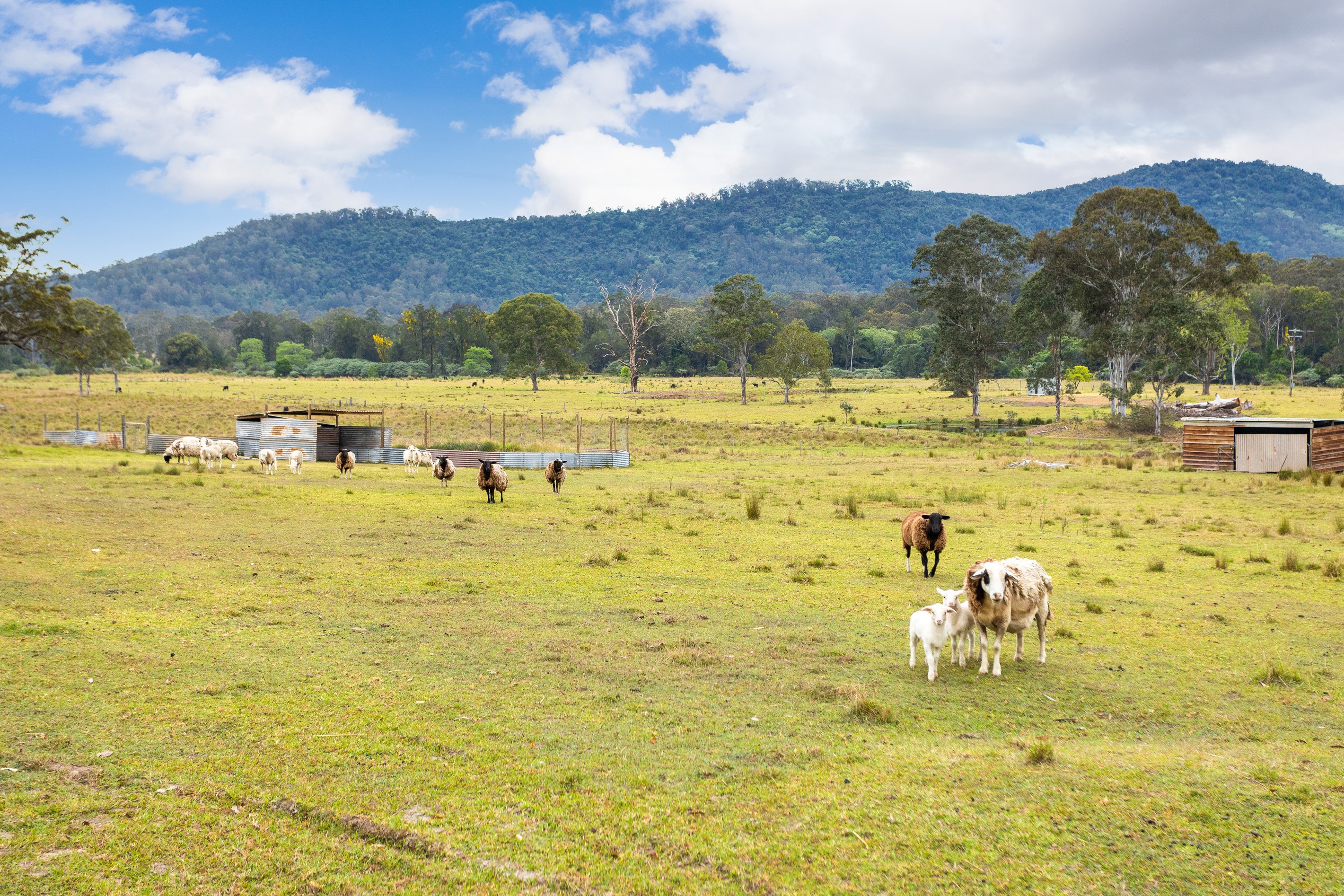561 Kimbriki Road, Kimbriki, NSW 2429
