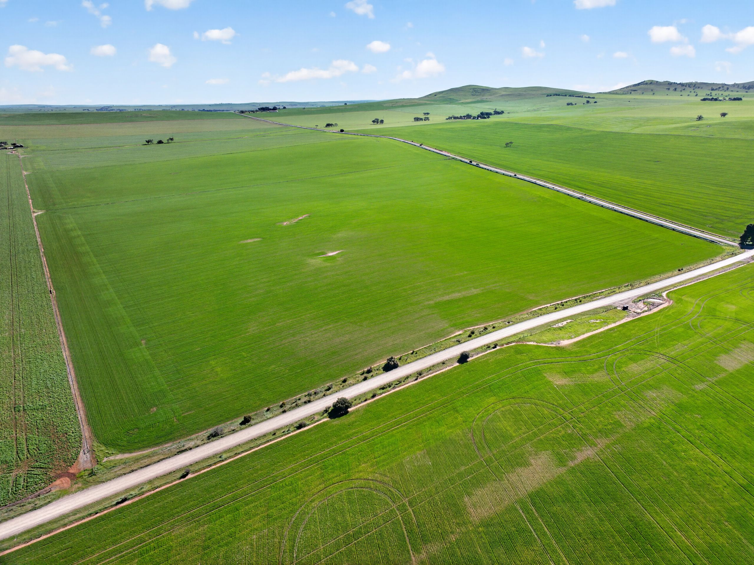 'Wilson Land' Pipeline Road — photo 10 of 19