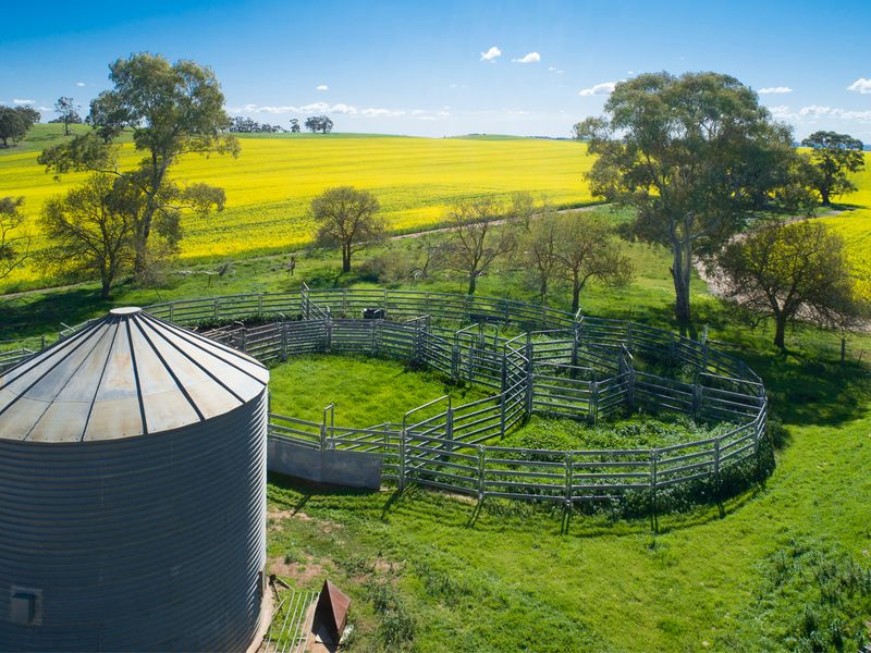 "Calcannia" Barinia Road, Clare, SA Rural Rural Mixed Farming Property Sold