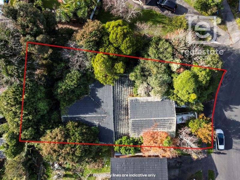 15 Wilbur Place photo 3