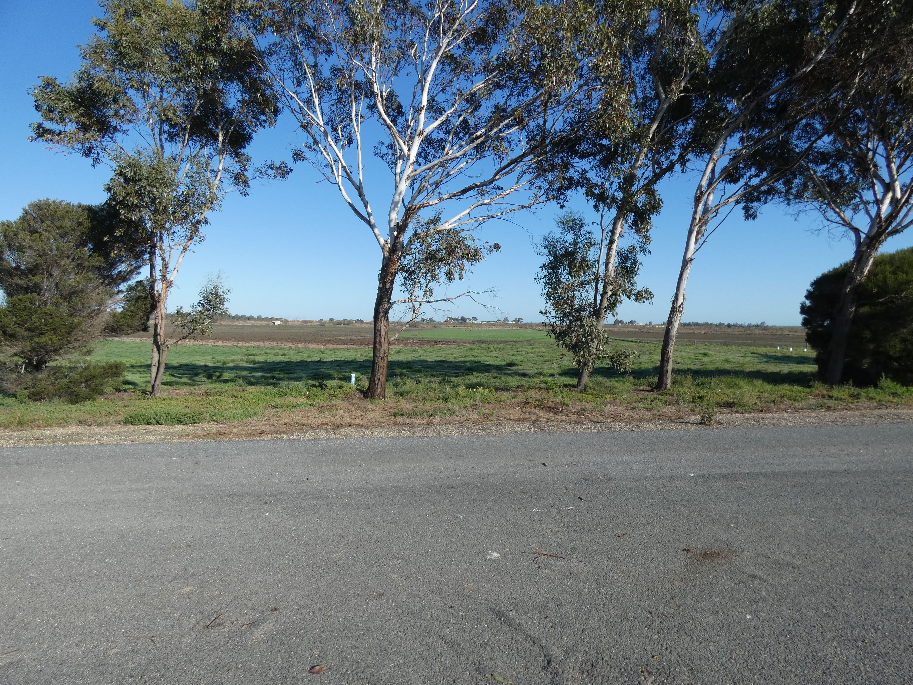 Lot 119 61 Kelsey Road, Wellington East, SA 5259