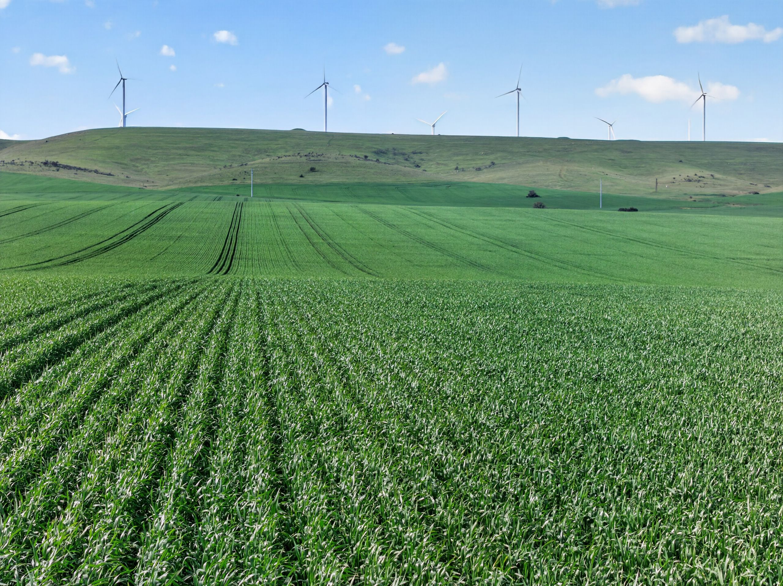 'Southams' Ireland Road — photo from Ray White Rural South Australia