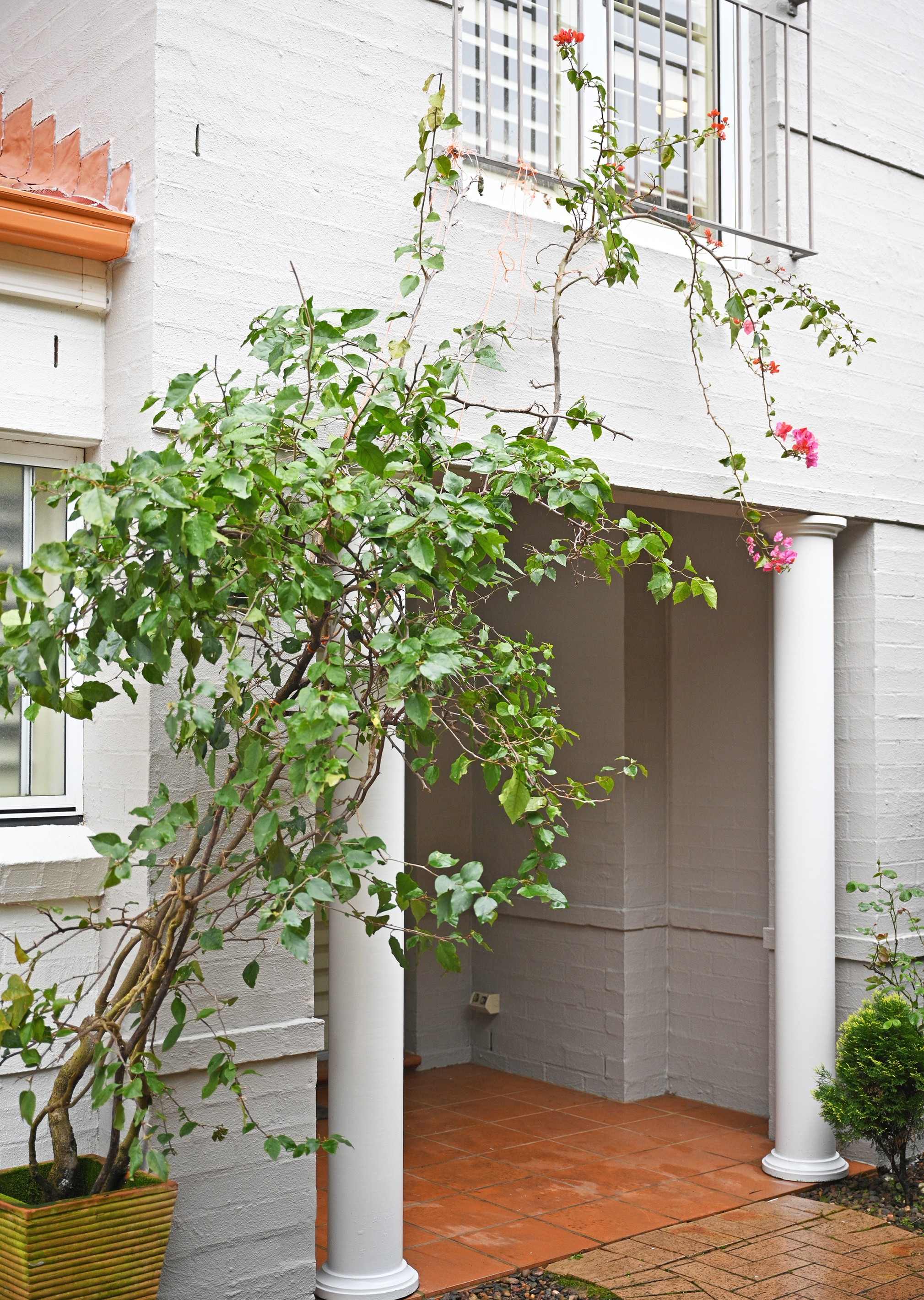 21 The Sanctuary, Westleigh, NSW 2120