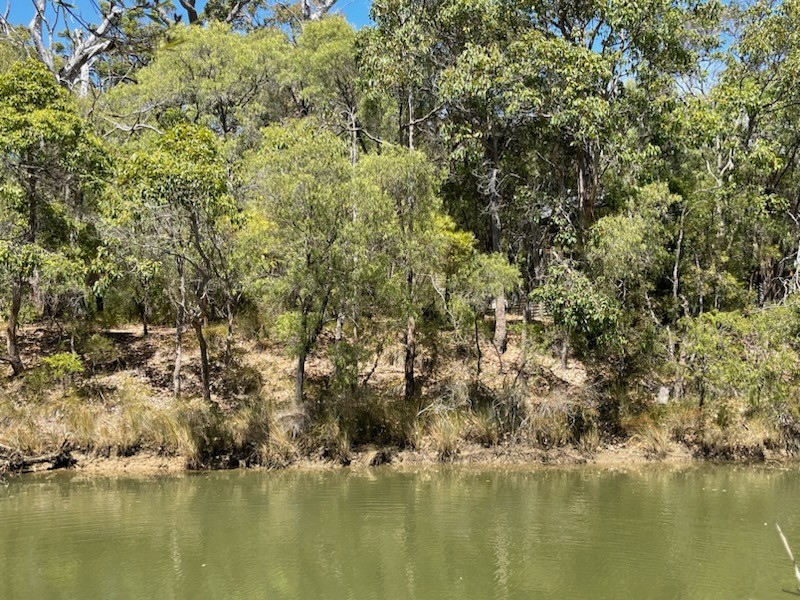 8 Flora Grove, Molloy Island, WA 6290