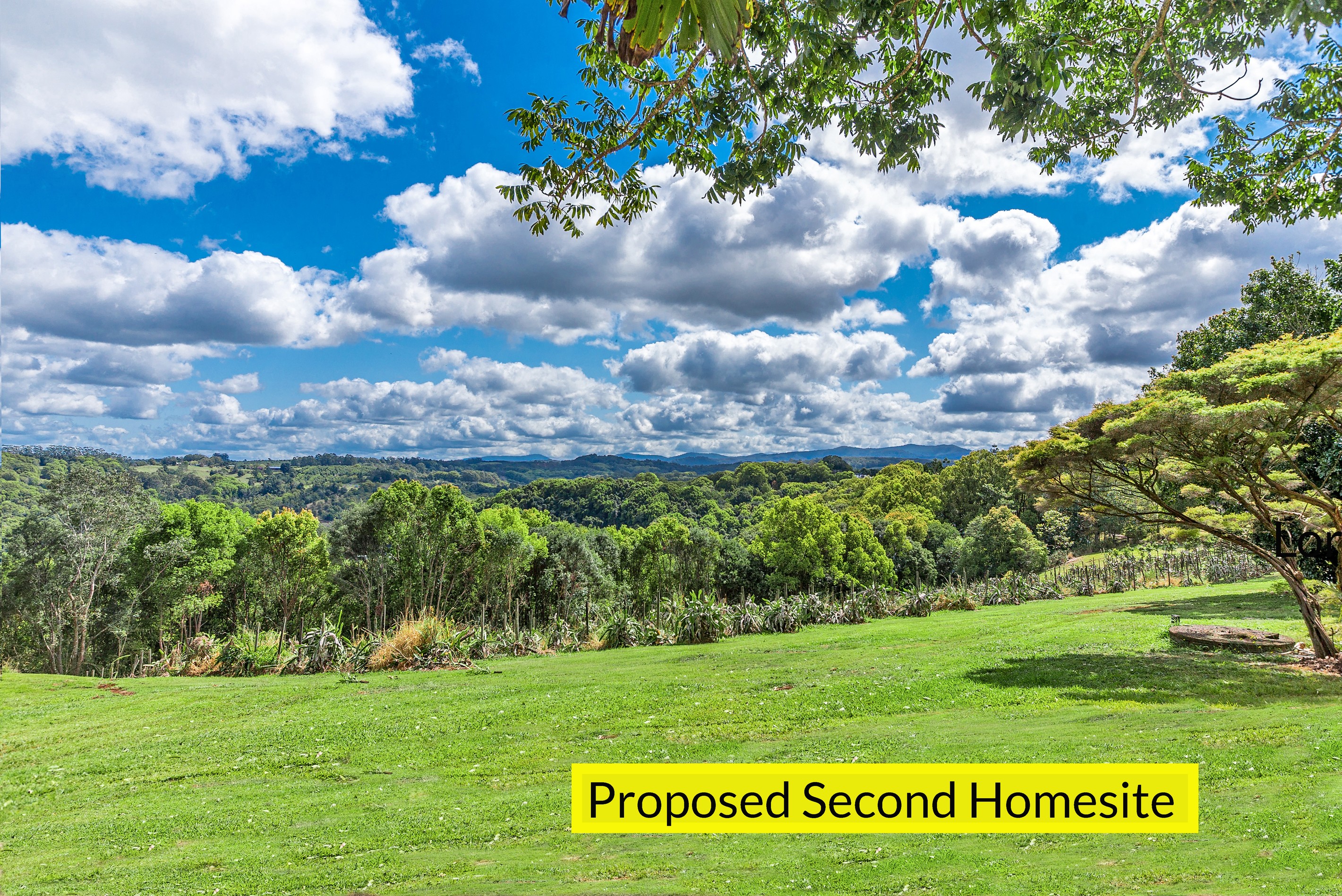 15 Armstrong Road, Rosebank, NSW 2480