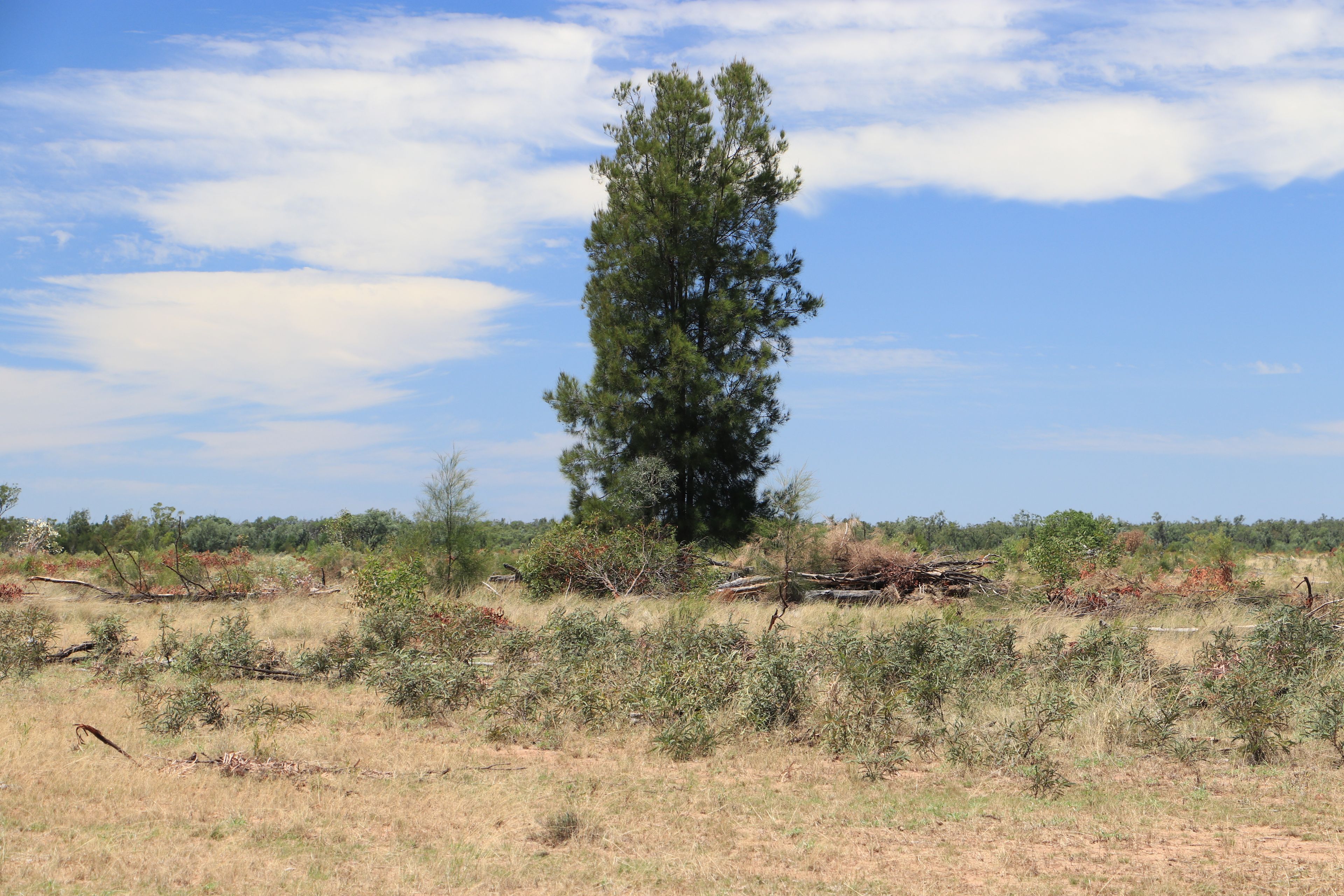 555 Yuleba Surat Road — photo 18 of 28
