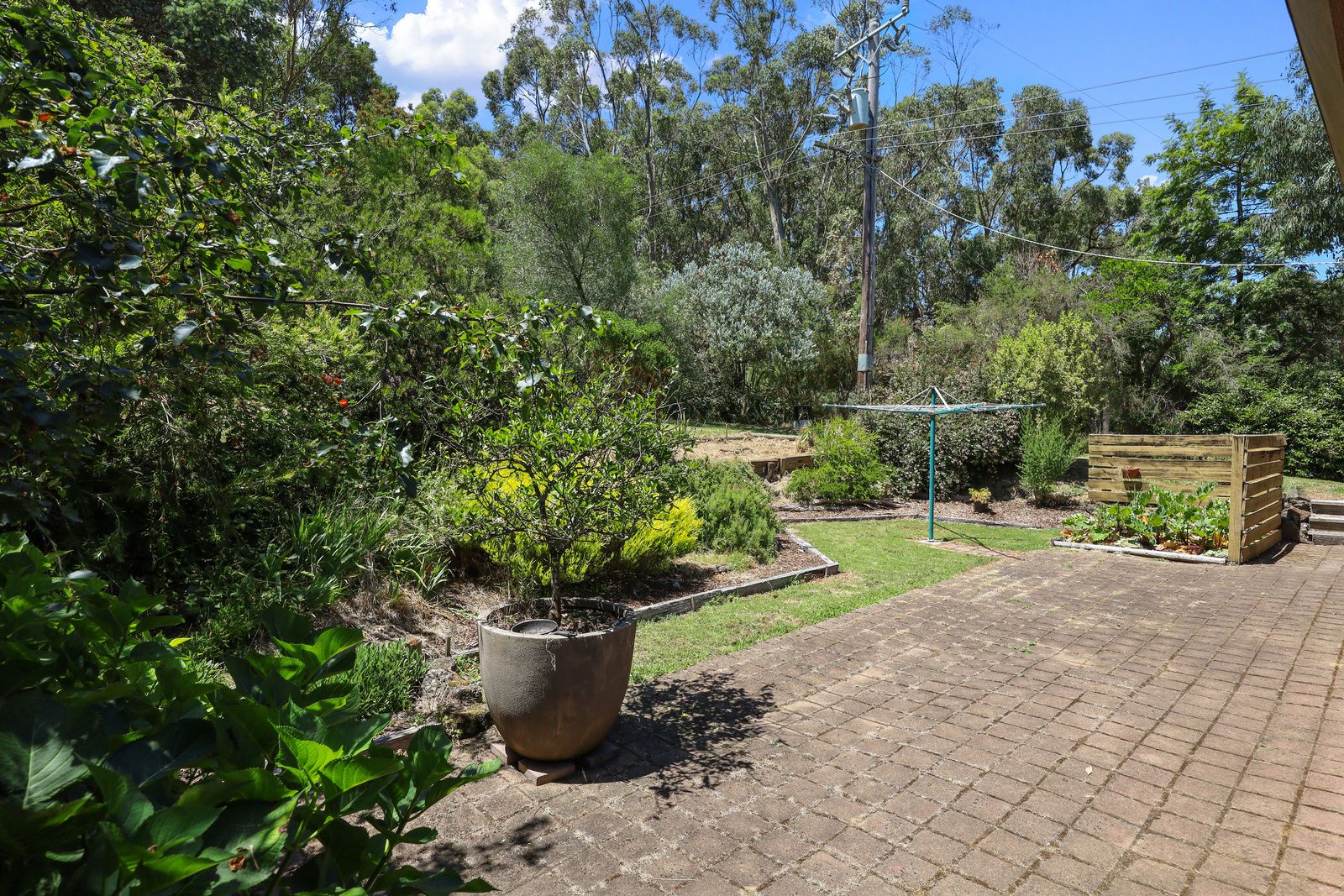135 Timboon-Curdievale Road, Timboon, VIC 3268