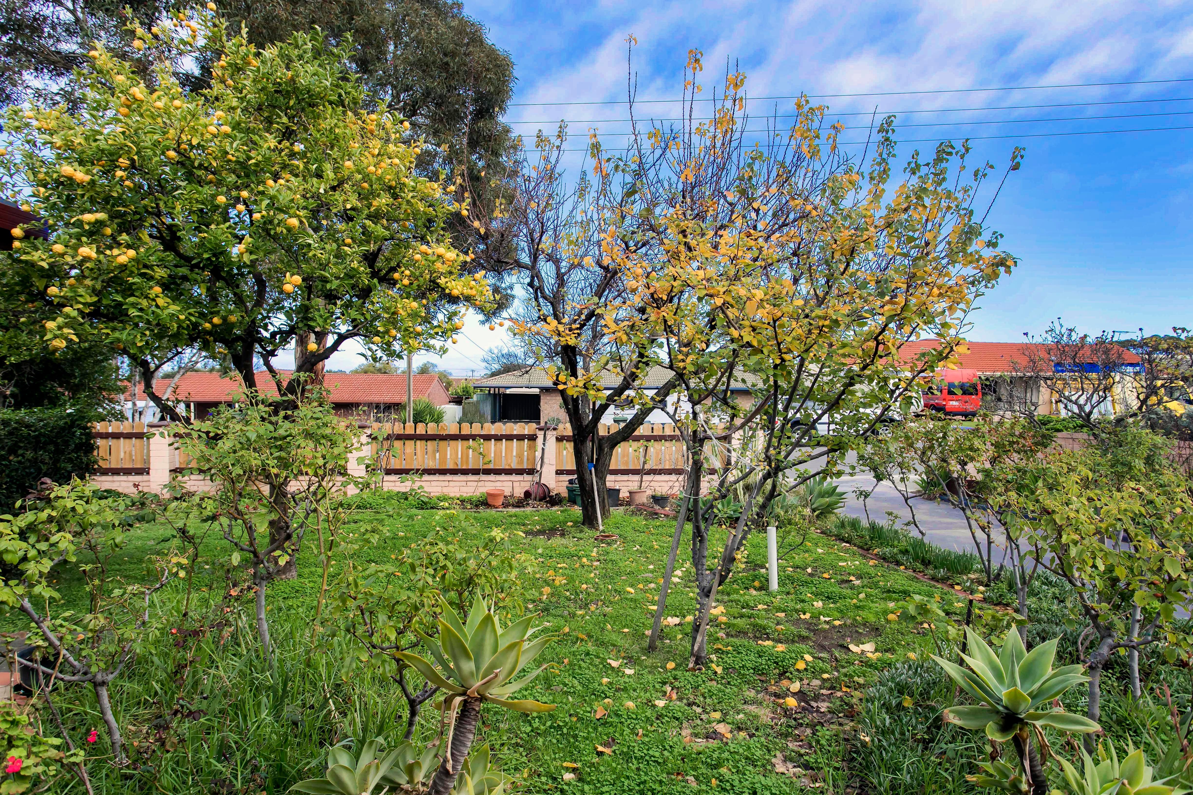 30 Wakefield Avenue, Morphett Vale, SA 5162