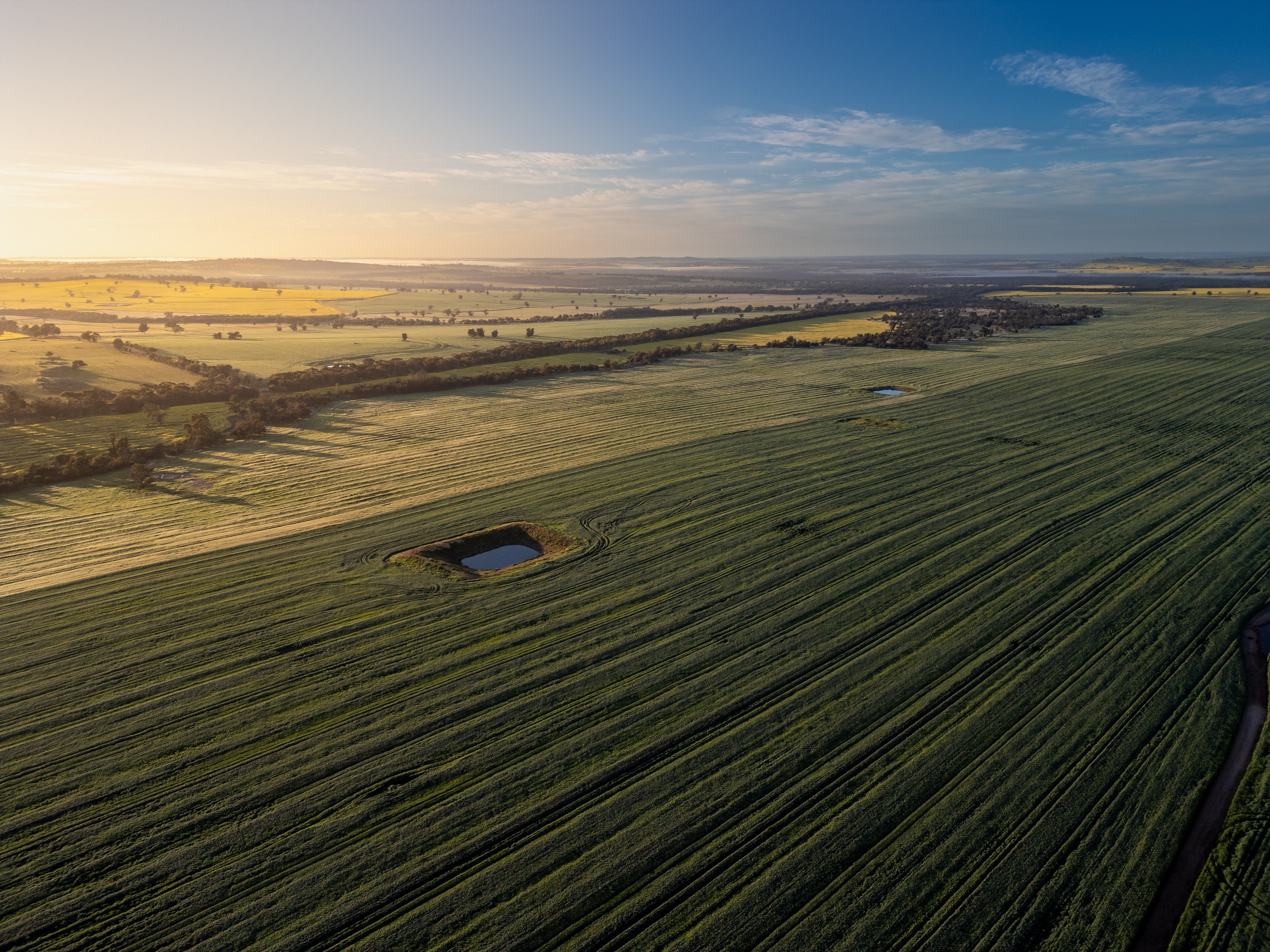 Panoro, 18204 Albany Highway, Arthur River, WA 6315