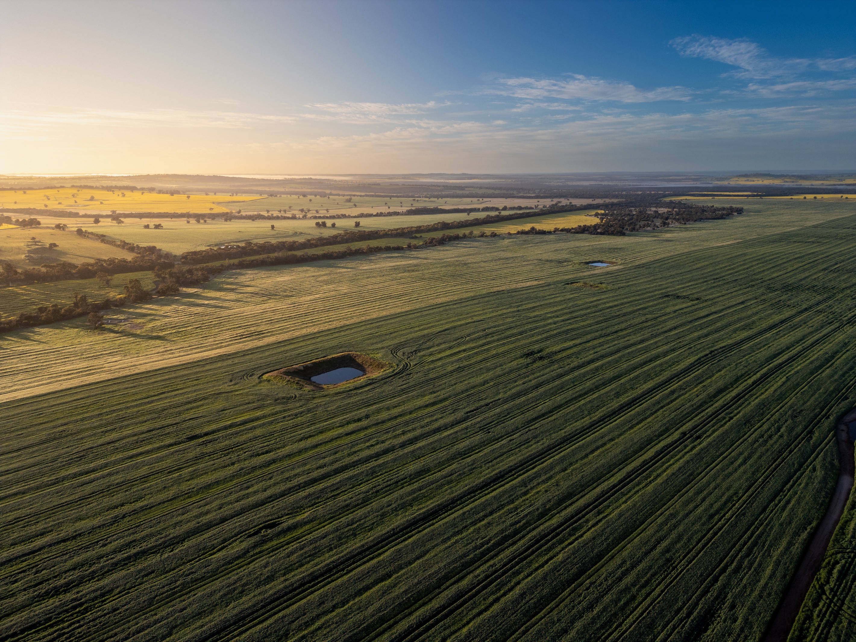 Panoro, 18204 Albany Highway, Arthur River, WA 6315