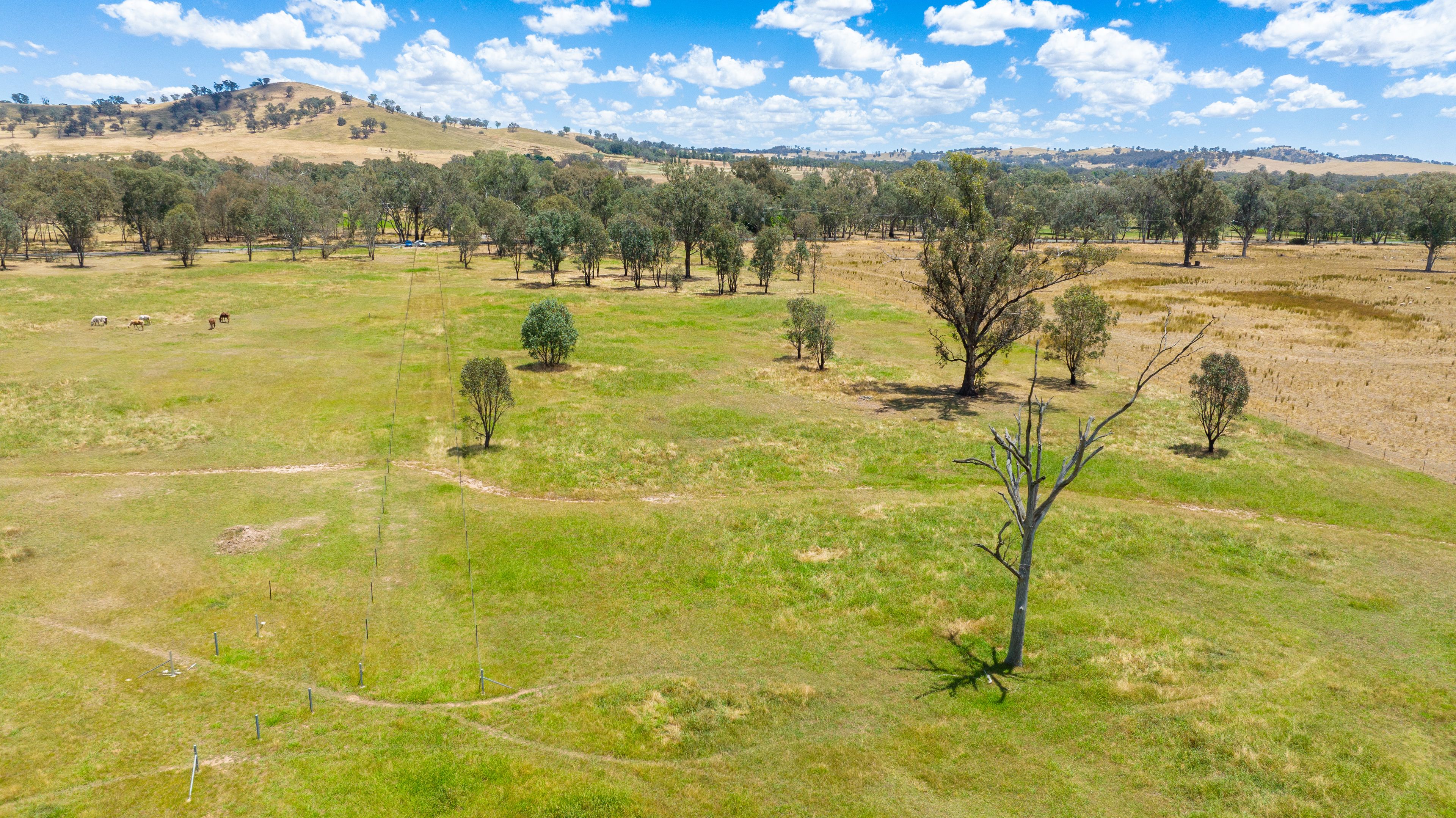 Lot 4 81 Bungowannah Road, Jindera, NSW 2642 Land for Sale Ray